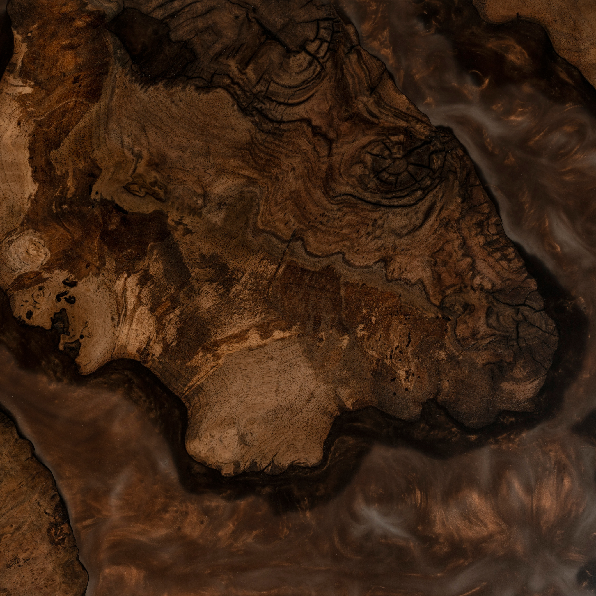 Claro Walnut Burl coffee table with natural wood variations. Brown epoxy resin with black legs. By Urban Industrial Design.