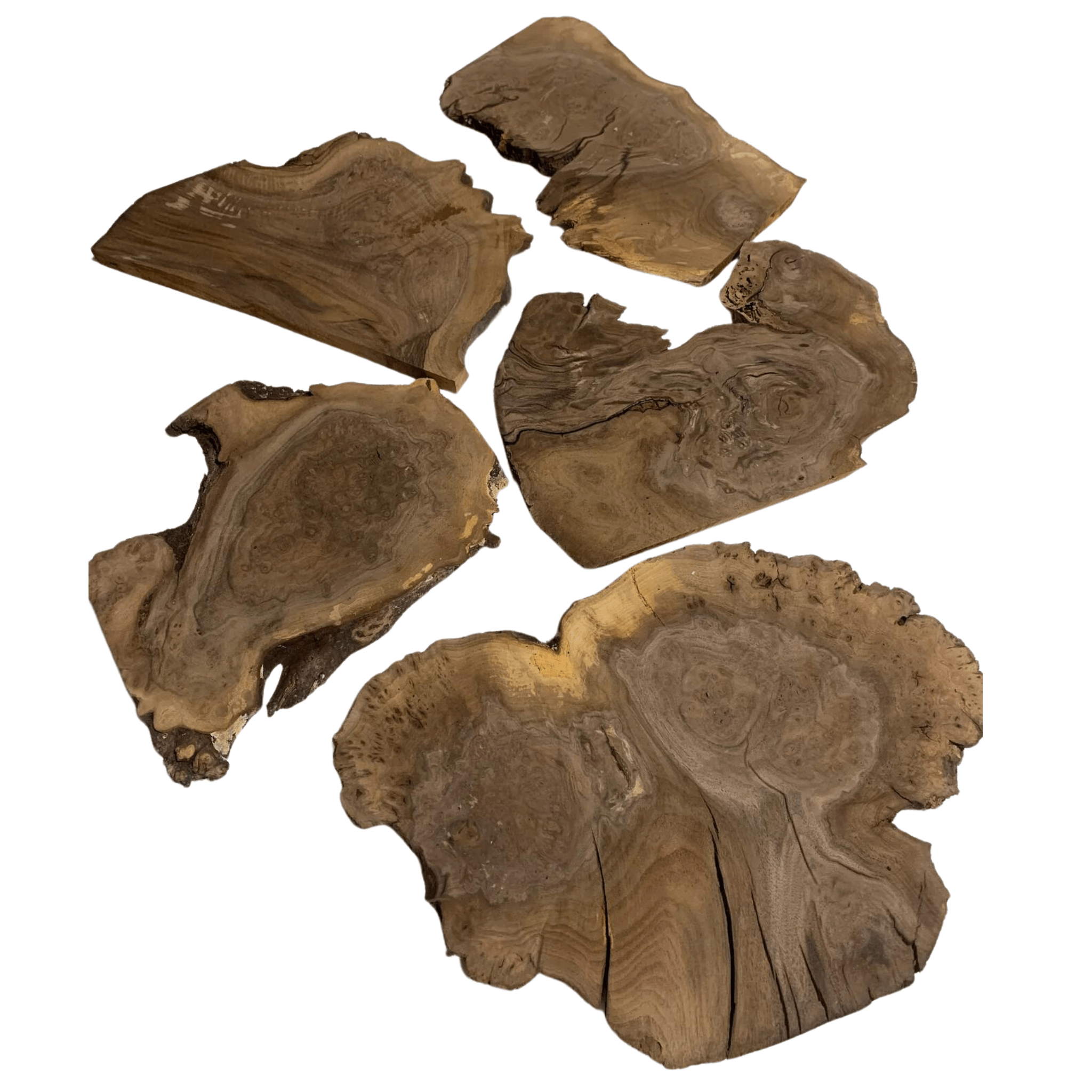 Claro Walnut Burl Slab Packs