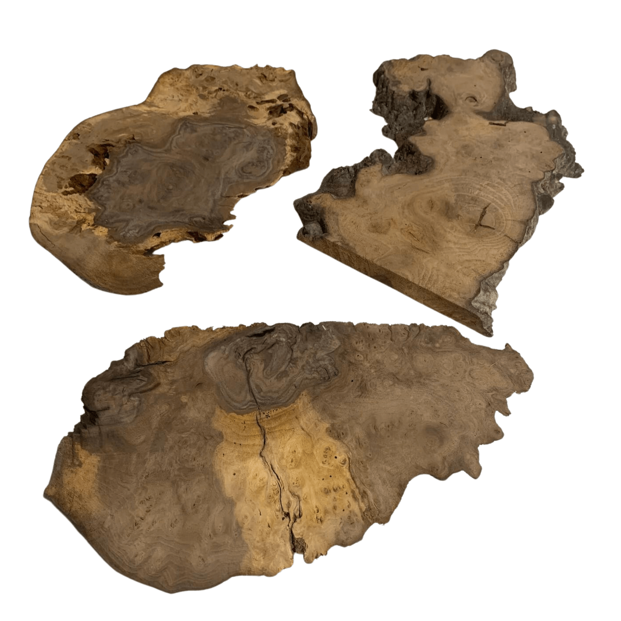 Claro Walnut Burl Slab Packs