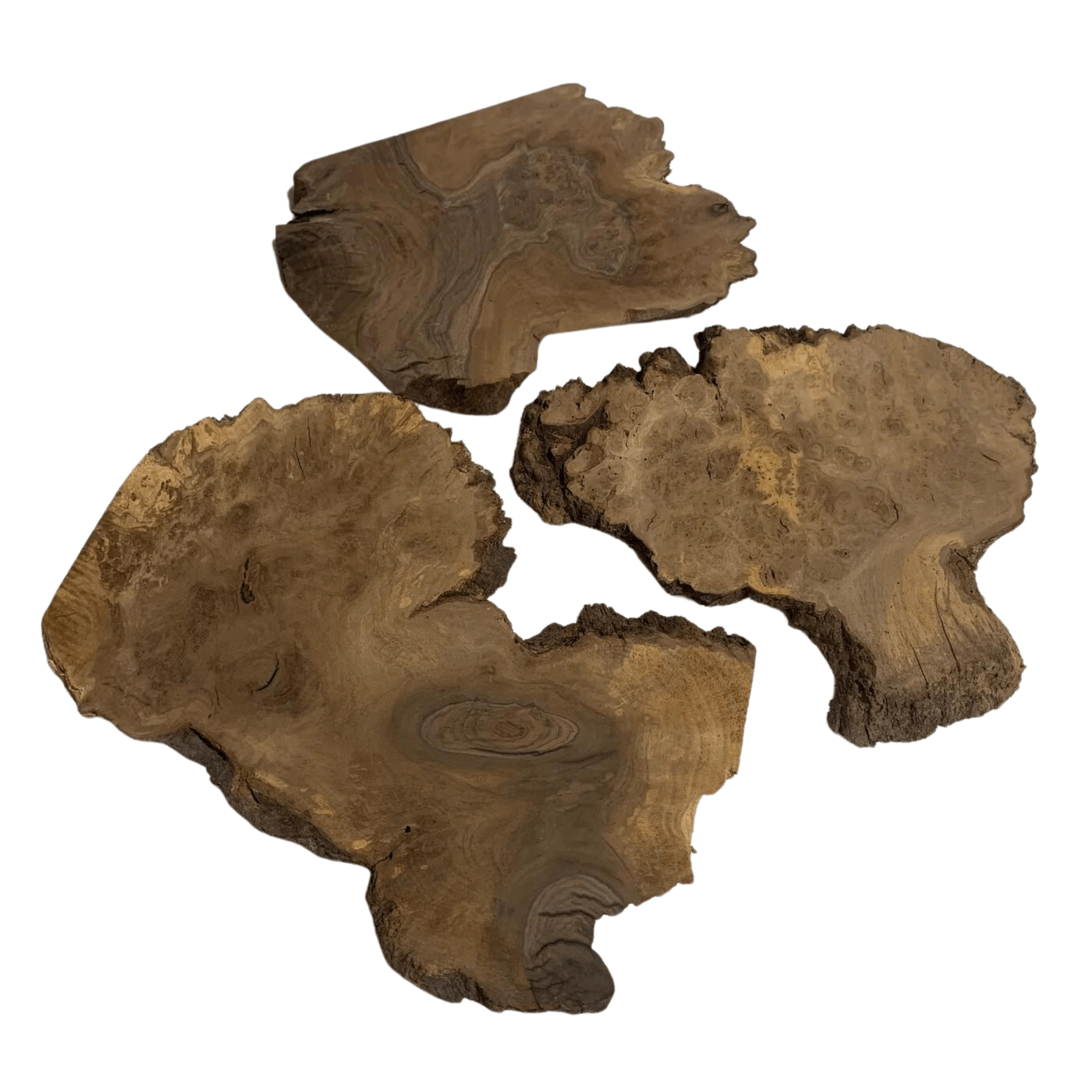 Claro Walnut Burl Slab Packs