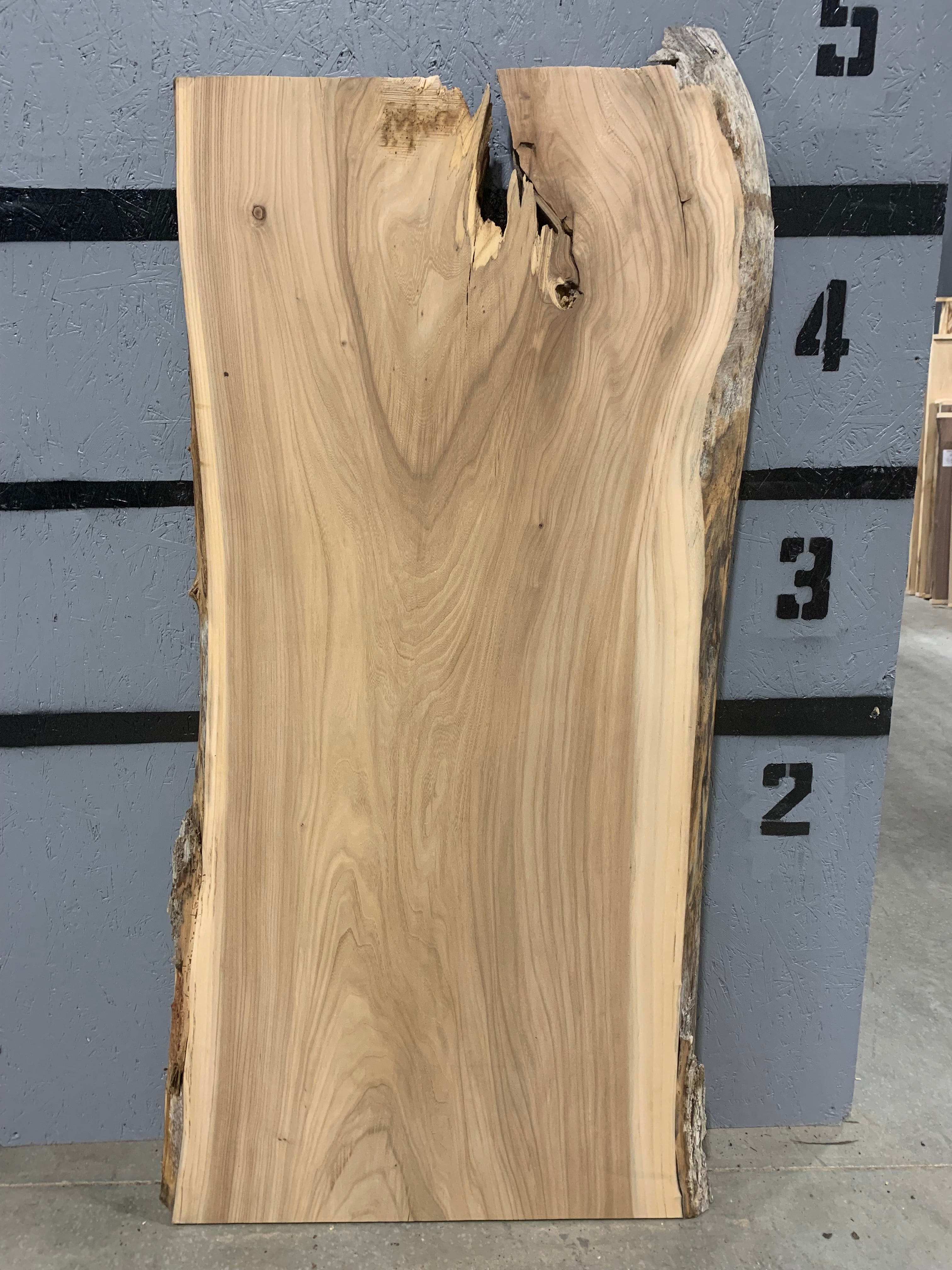 Elm Slab | W321