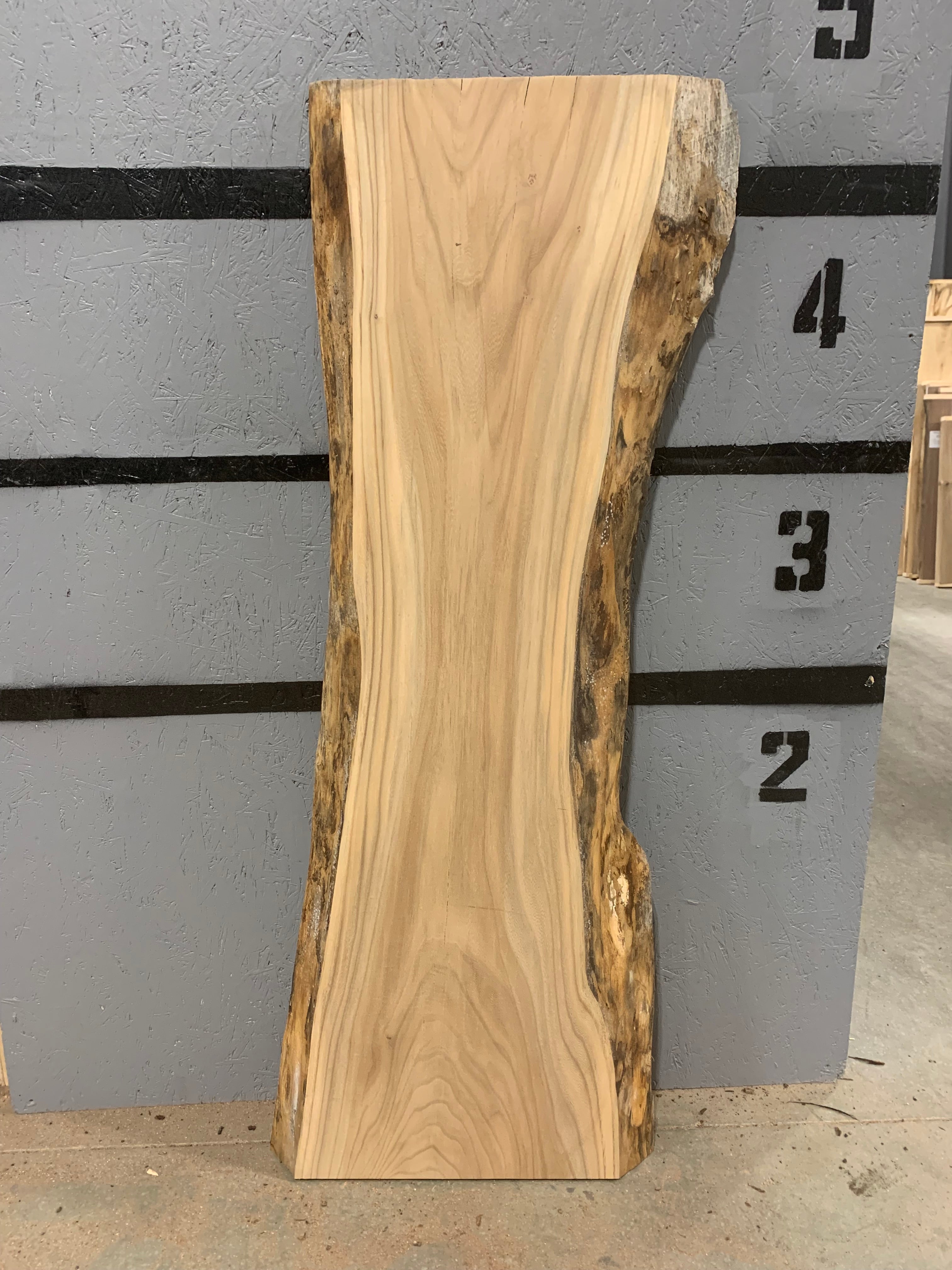 Elm Slab | W329