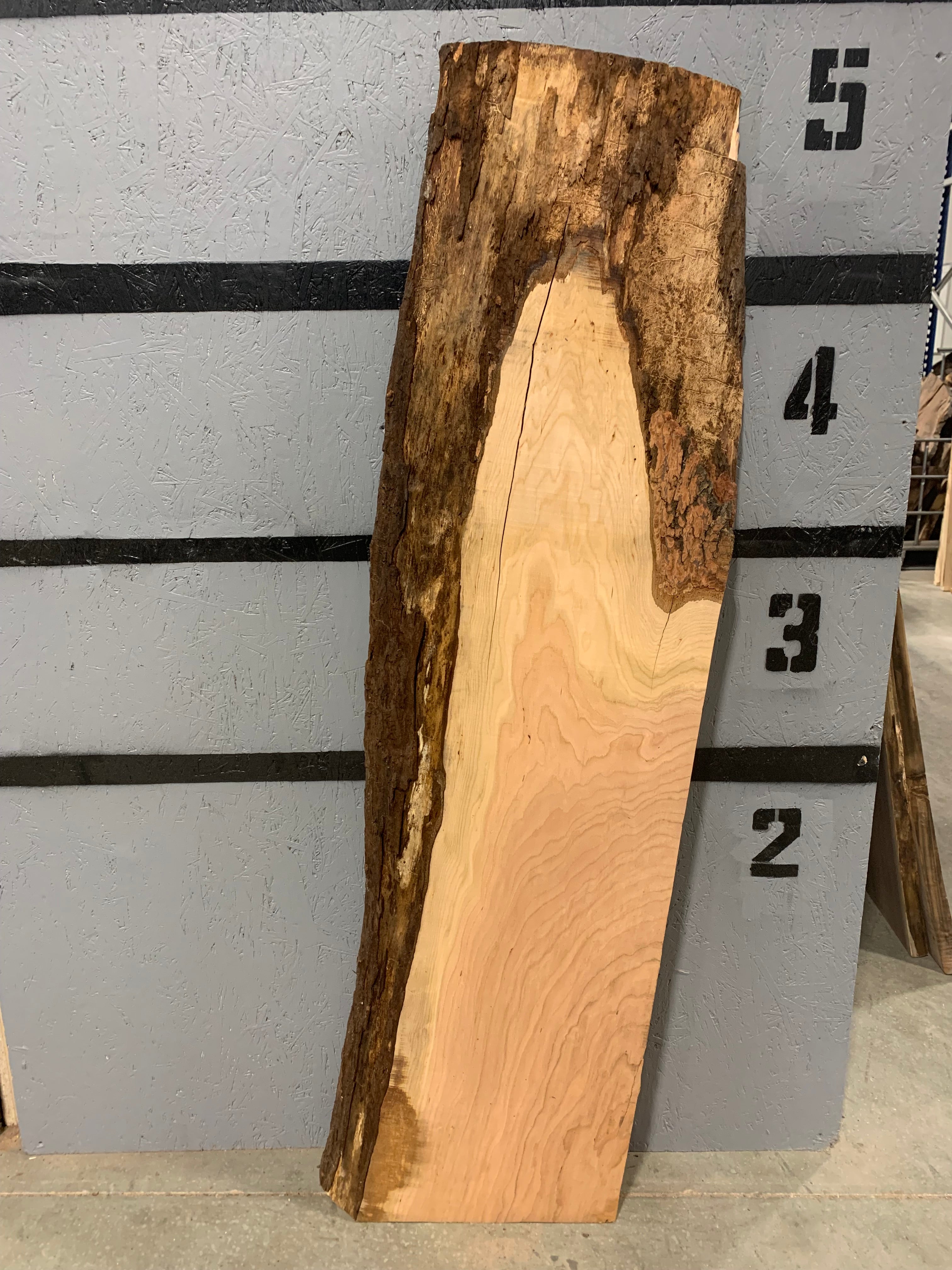 Cherry Slab | W339