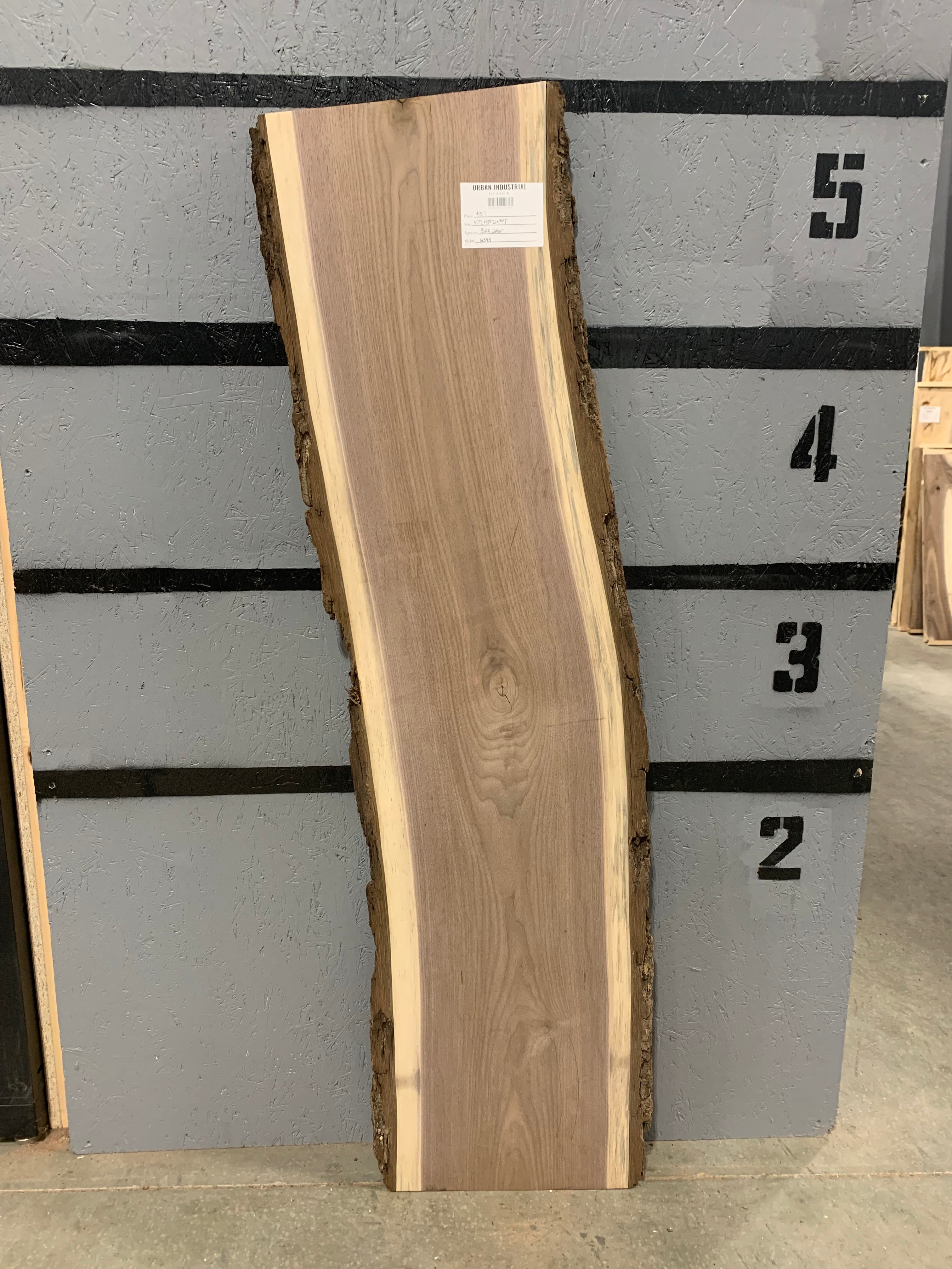 Black Walnut Slab | W343