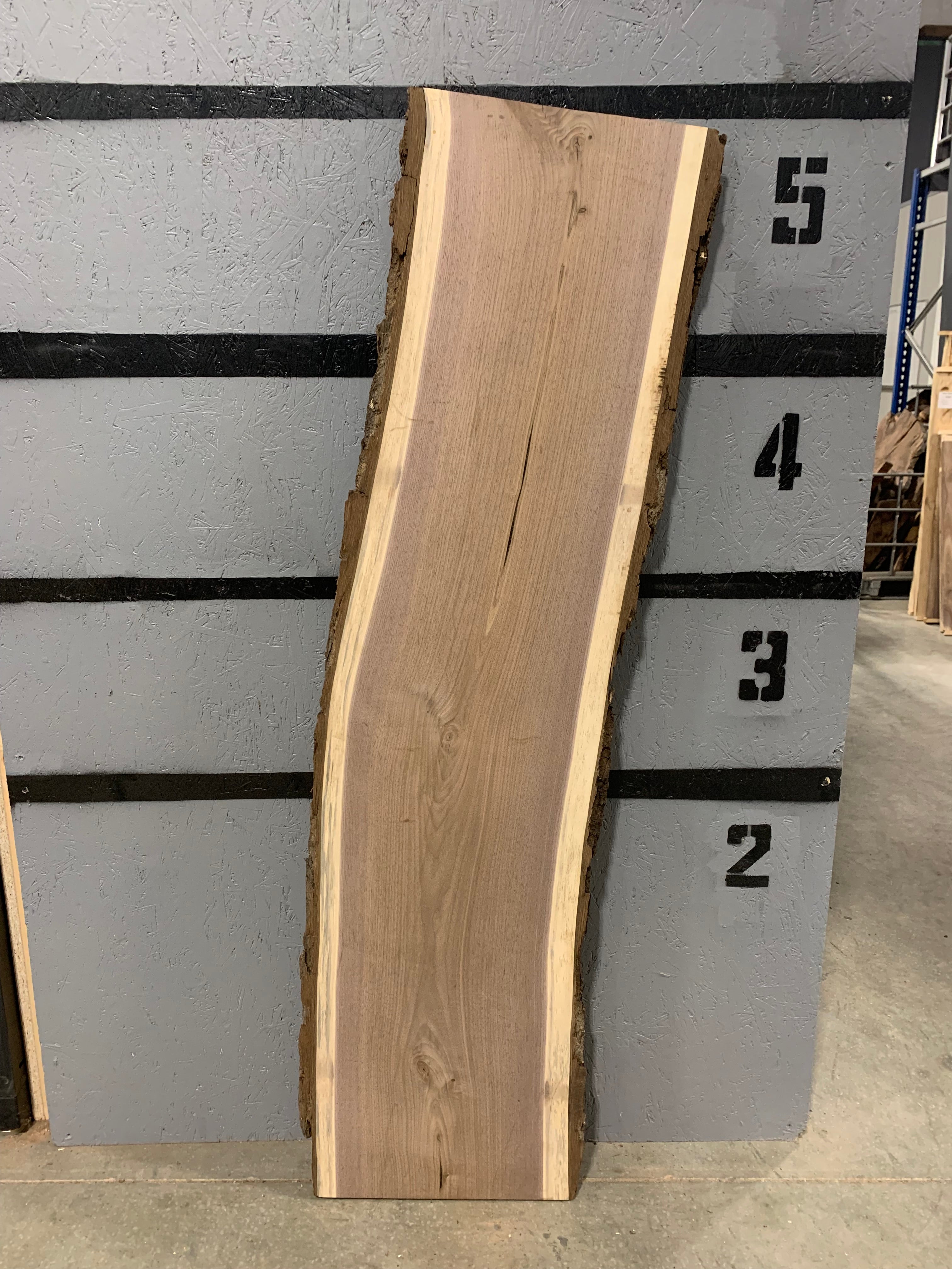 Black Walnut Slab | W343