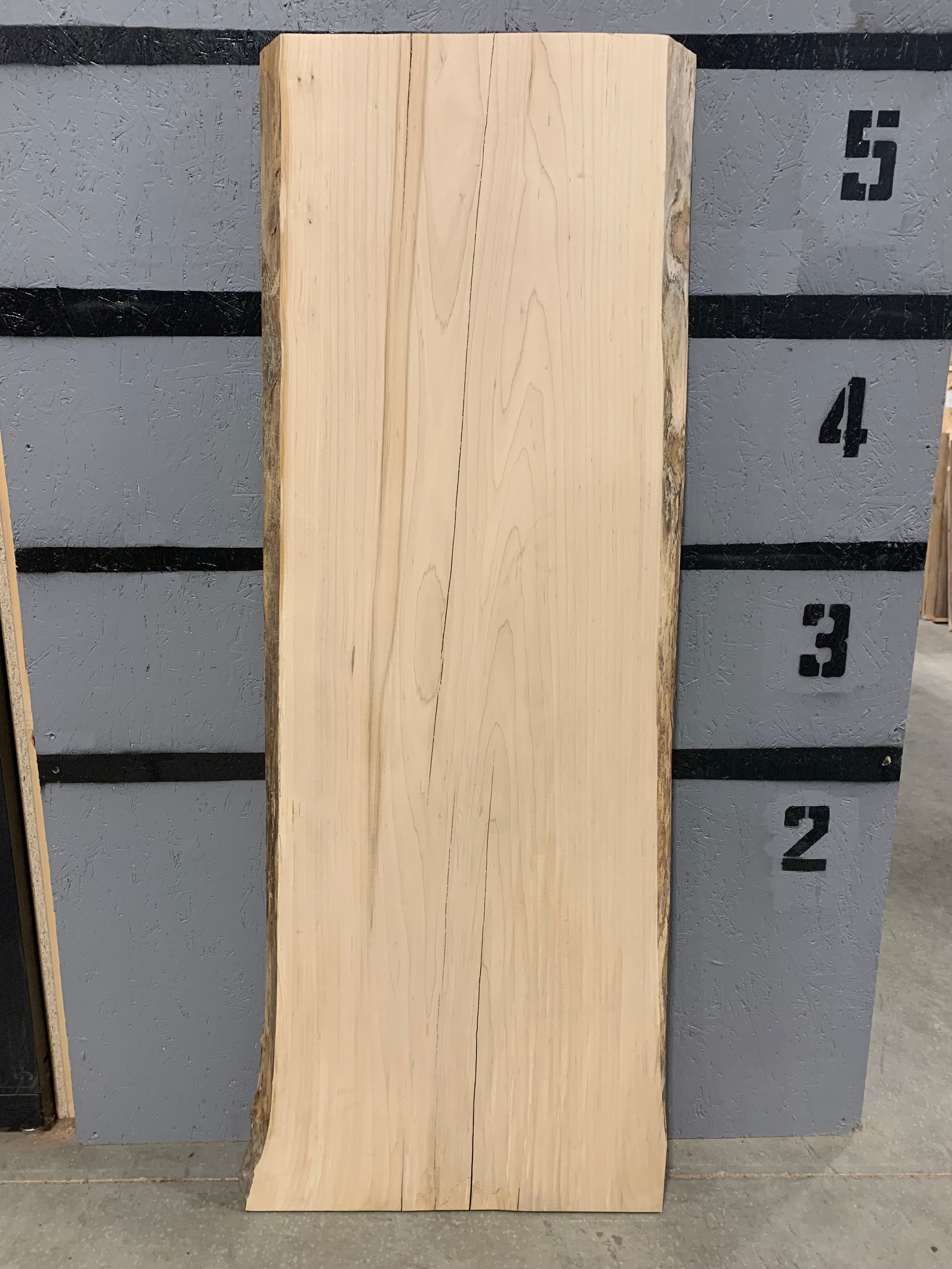 Slab Maple | W345