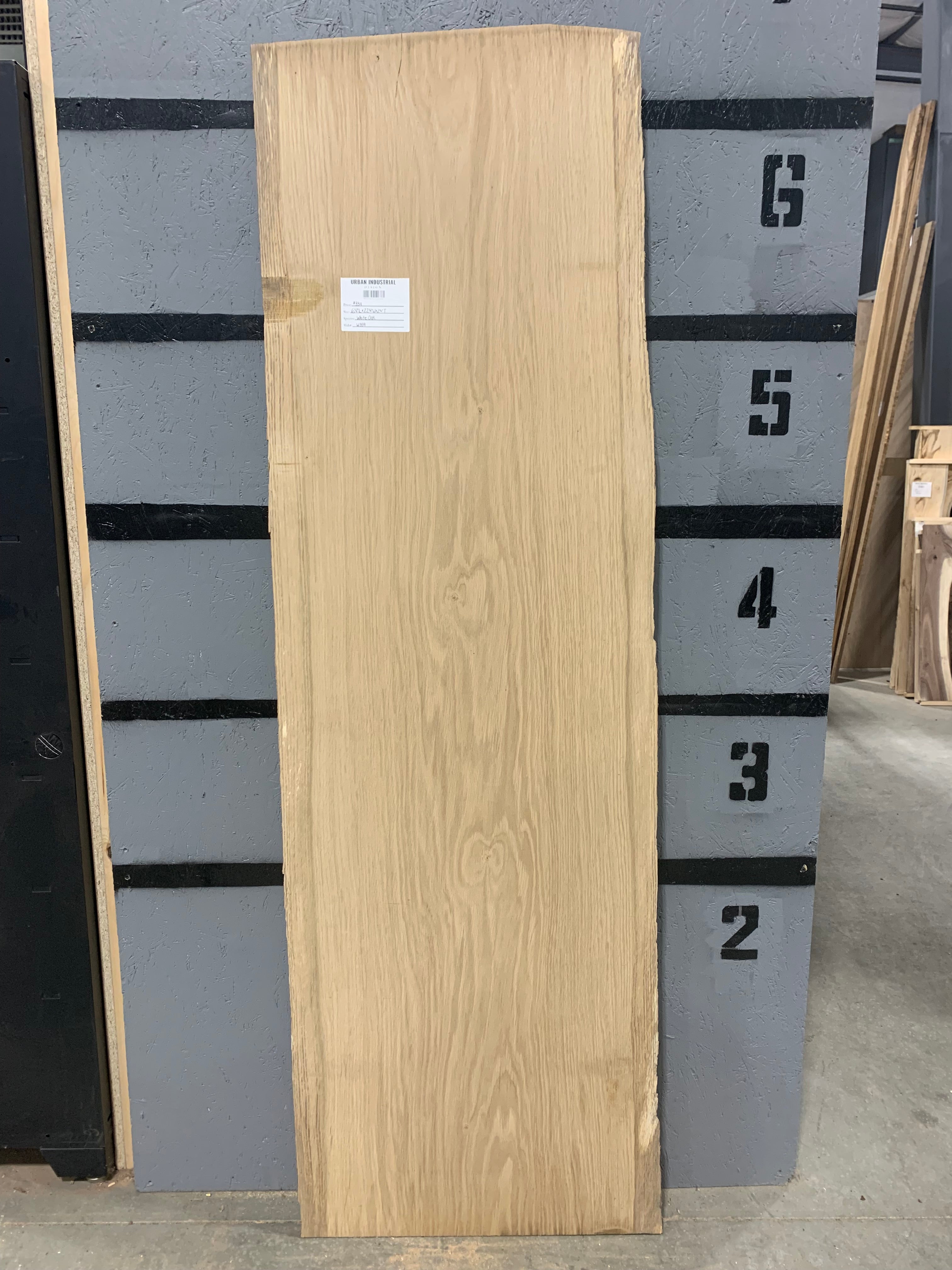 White Oak Slab | W359