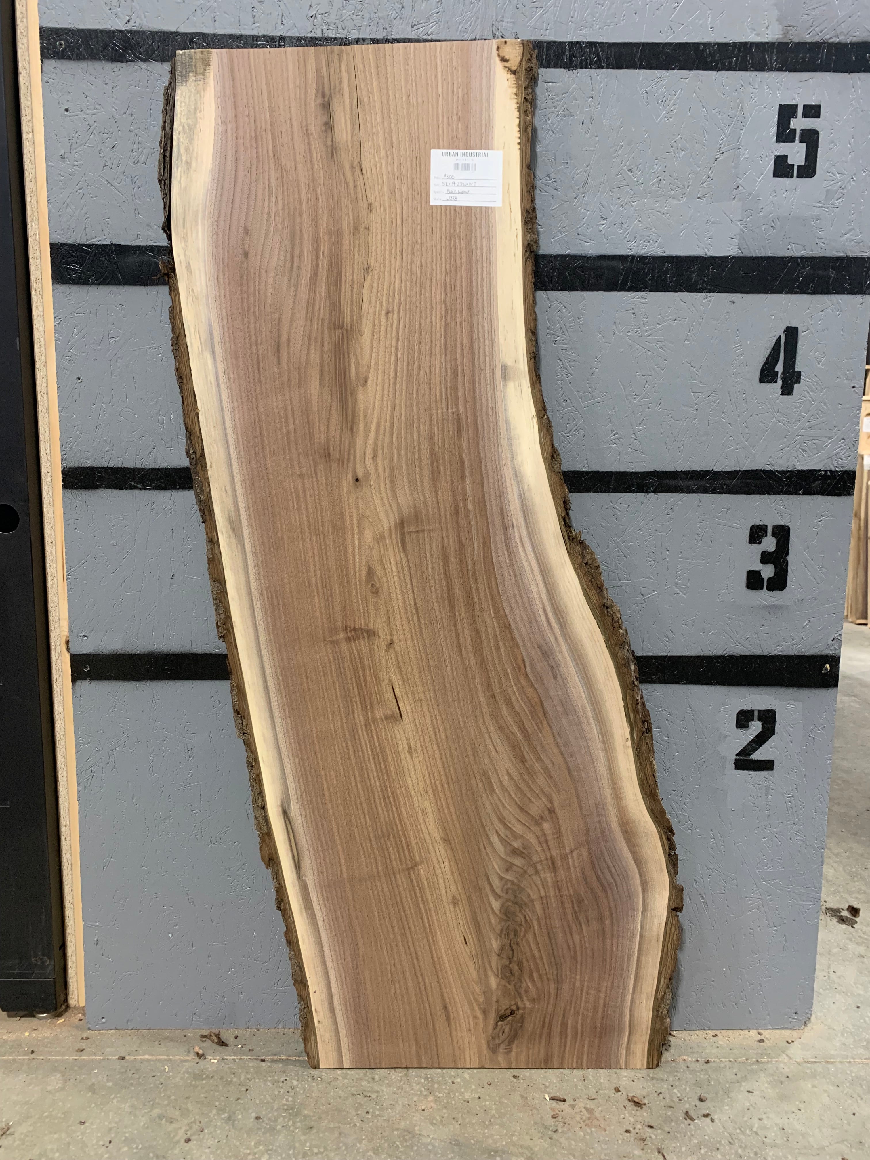 Black Walnut Slab | W378