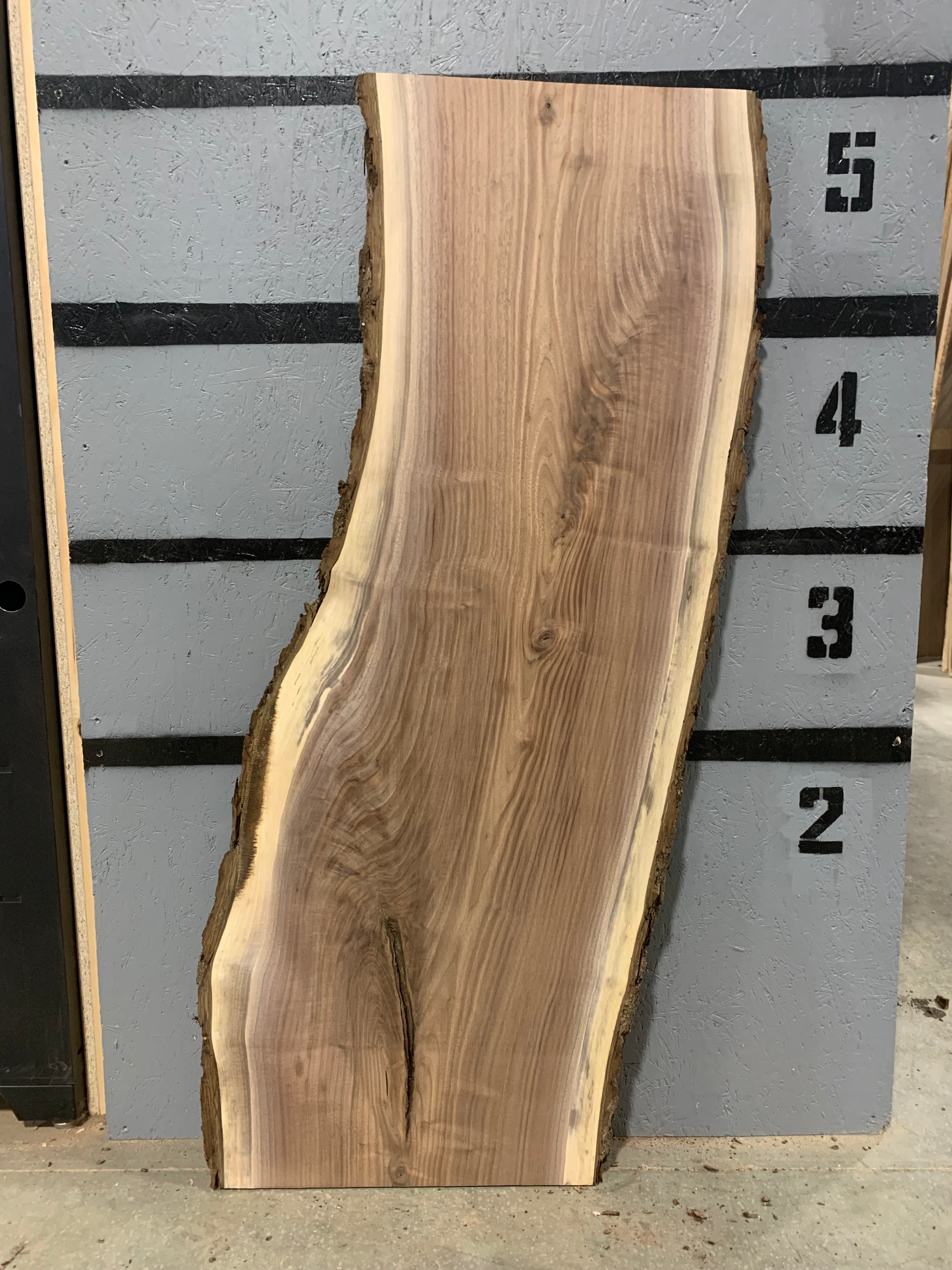 Black Walnut Slab | W378