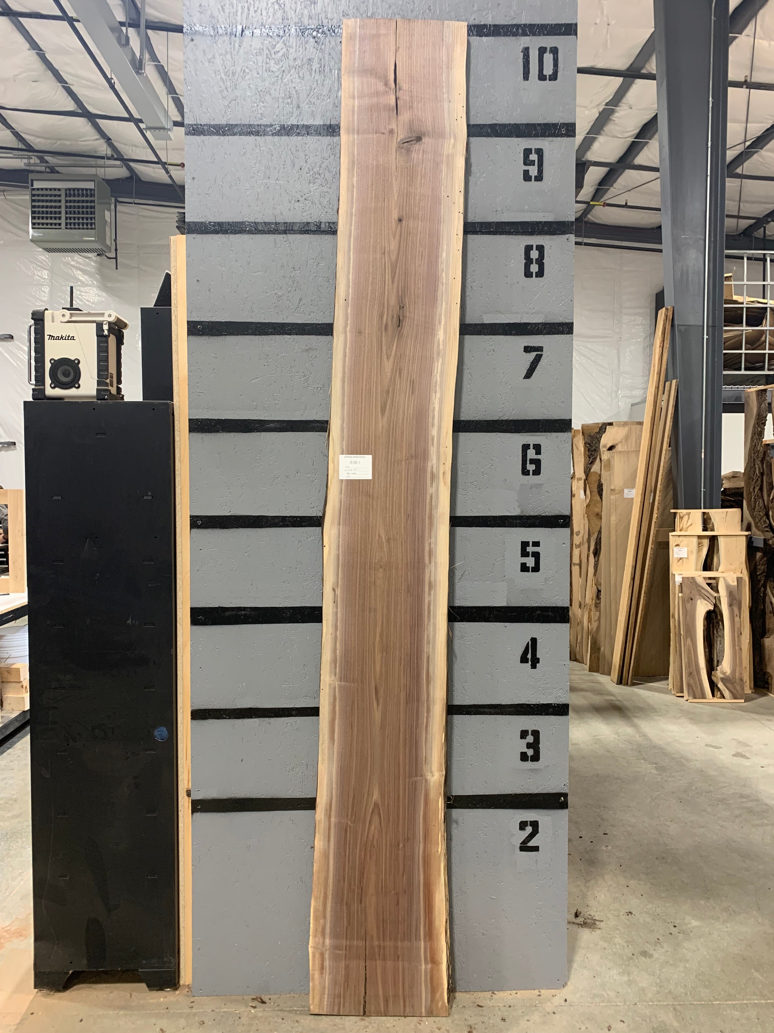 Black Walnut Slab | W383