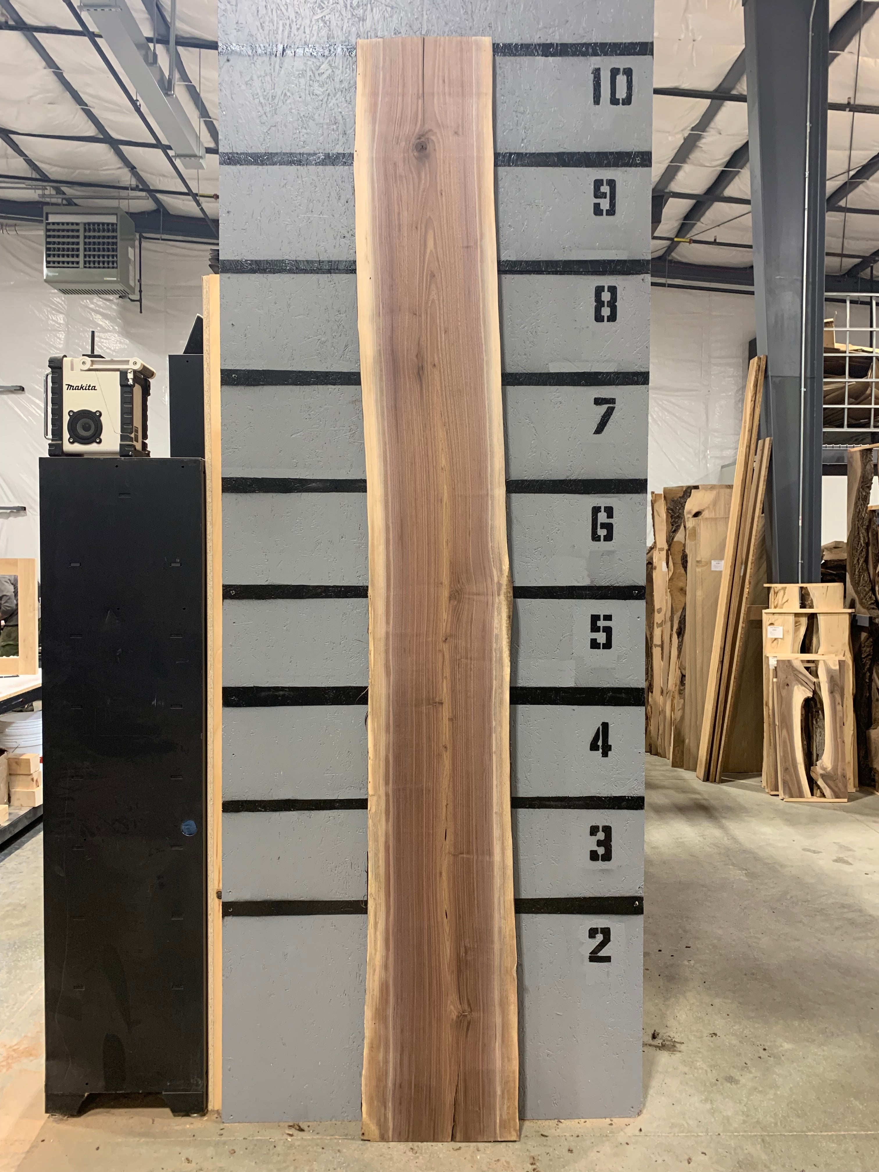 Black Walnut Slab | W383