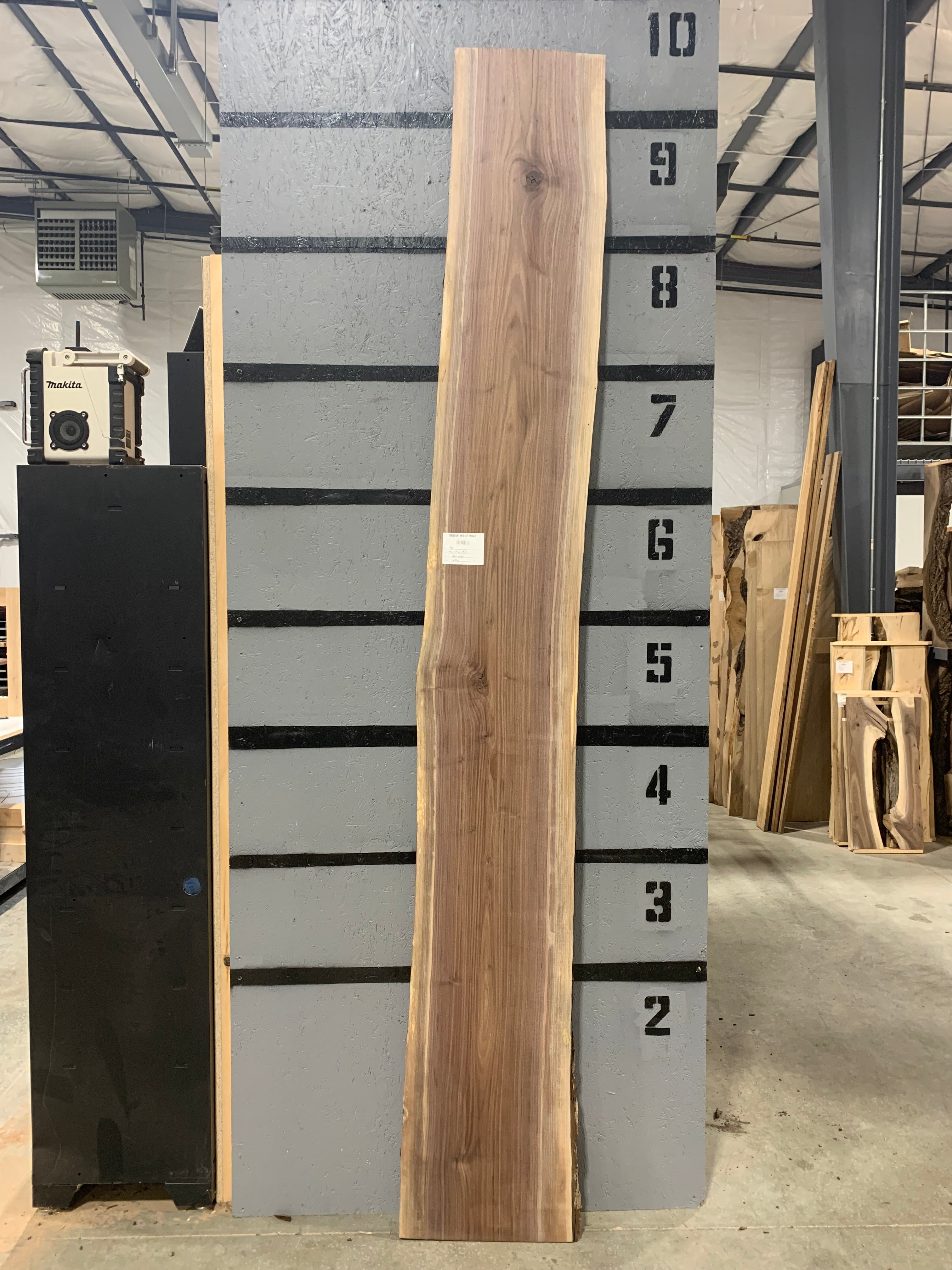 Black Walnut Slab | W386