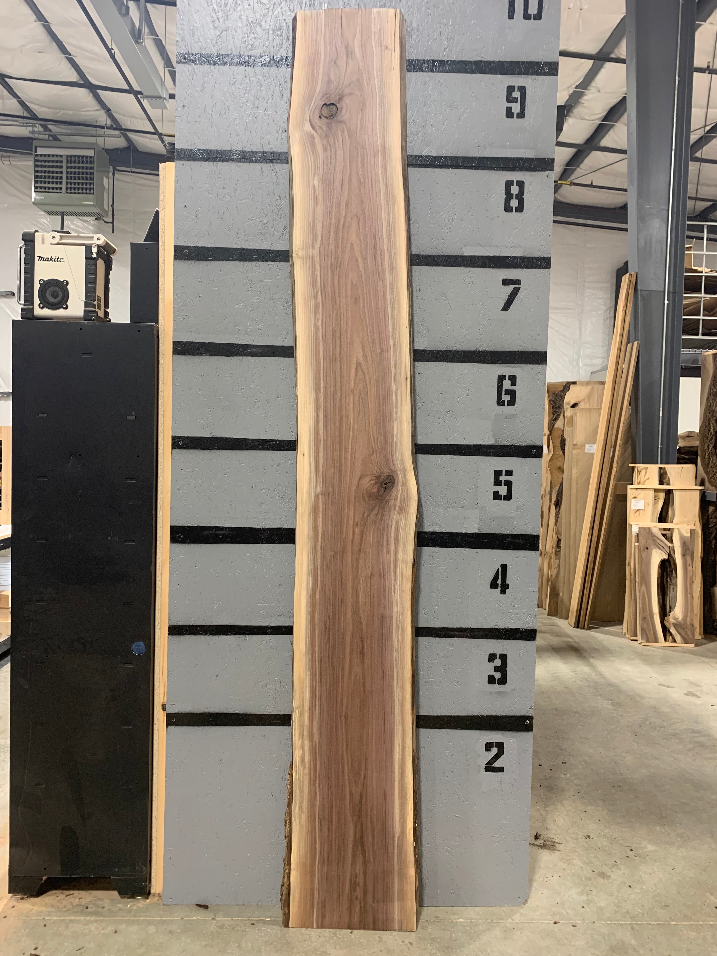 Black Walnut Slab | W386