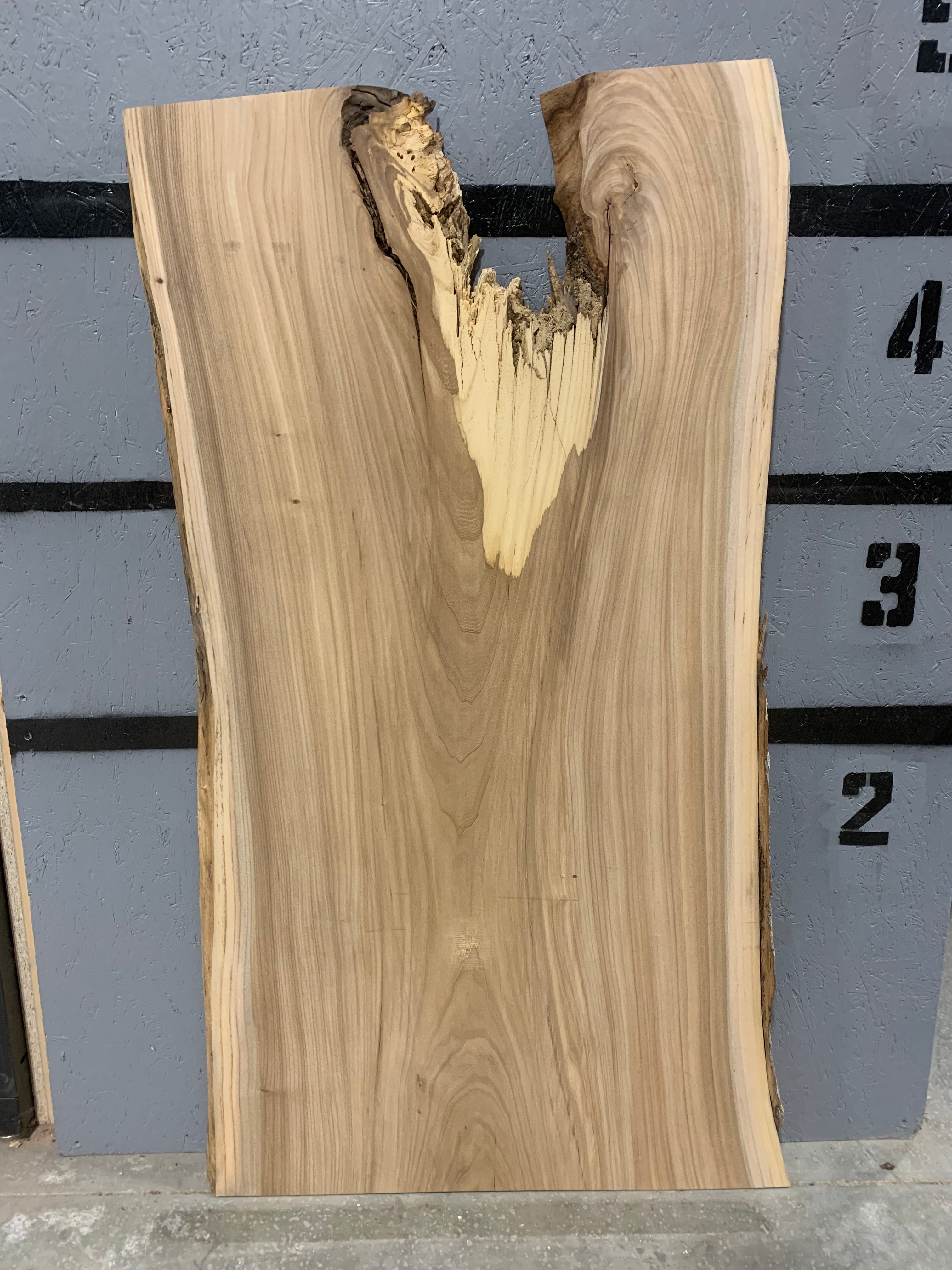 Elm Slab | W399