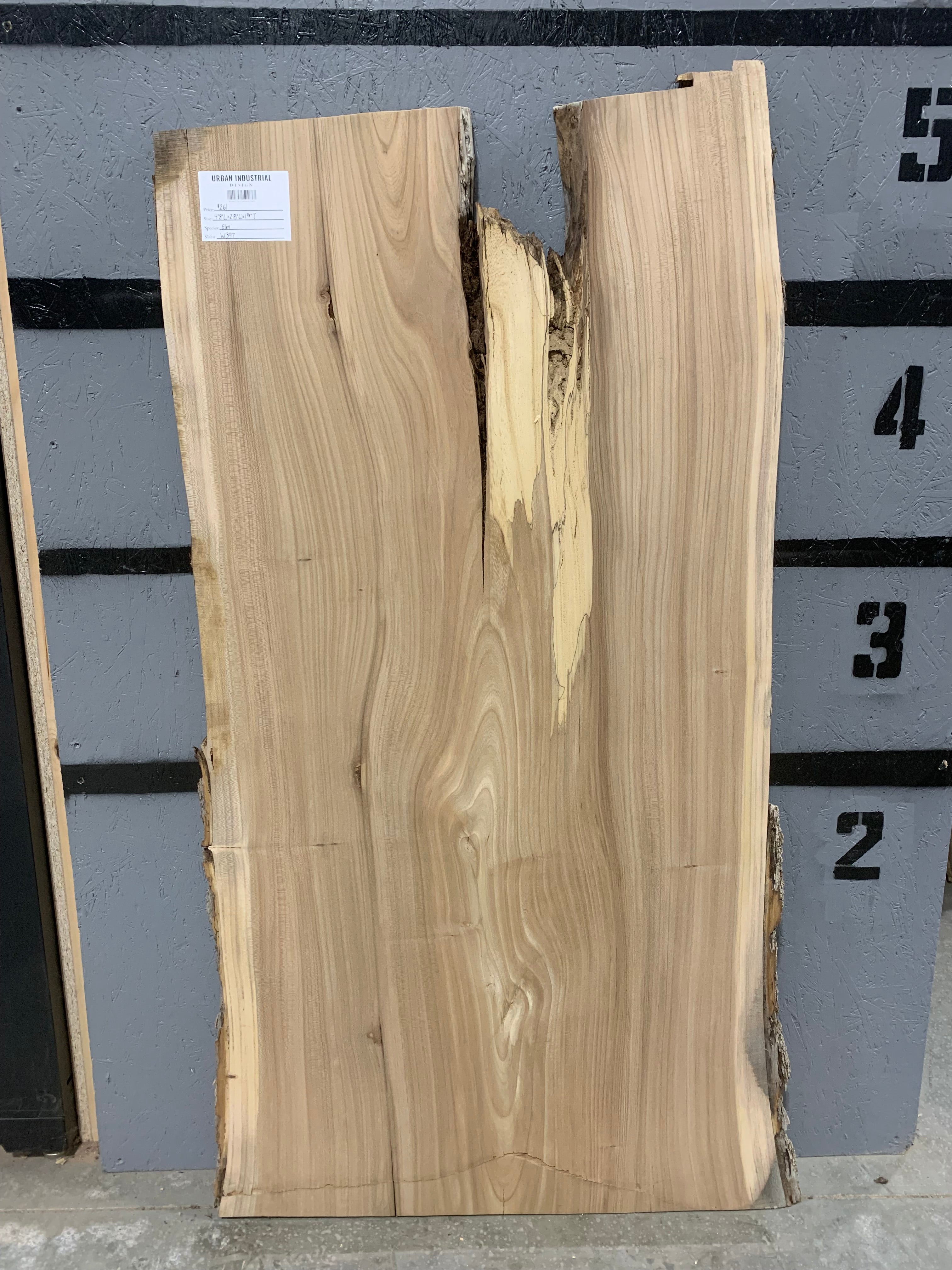 Elm Slab | W397