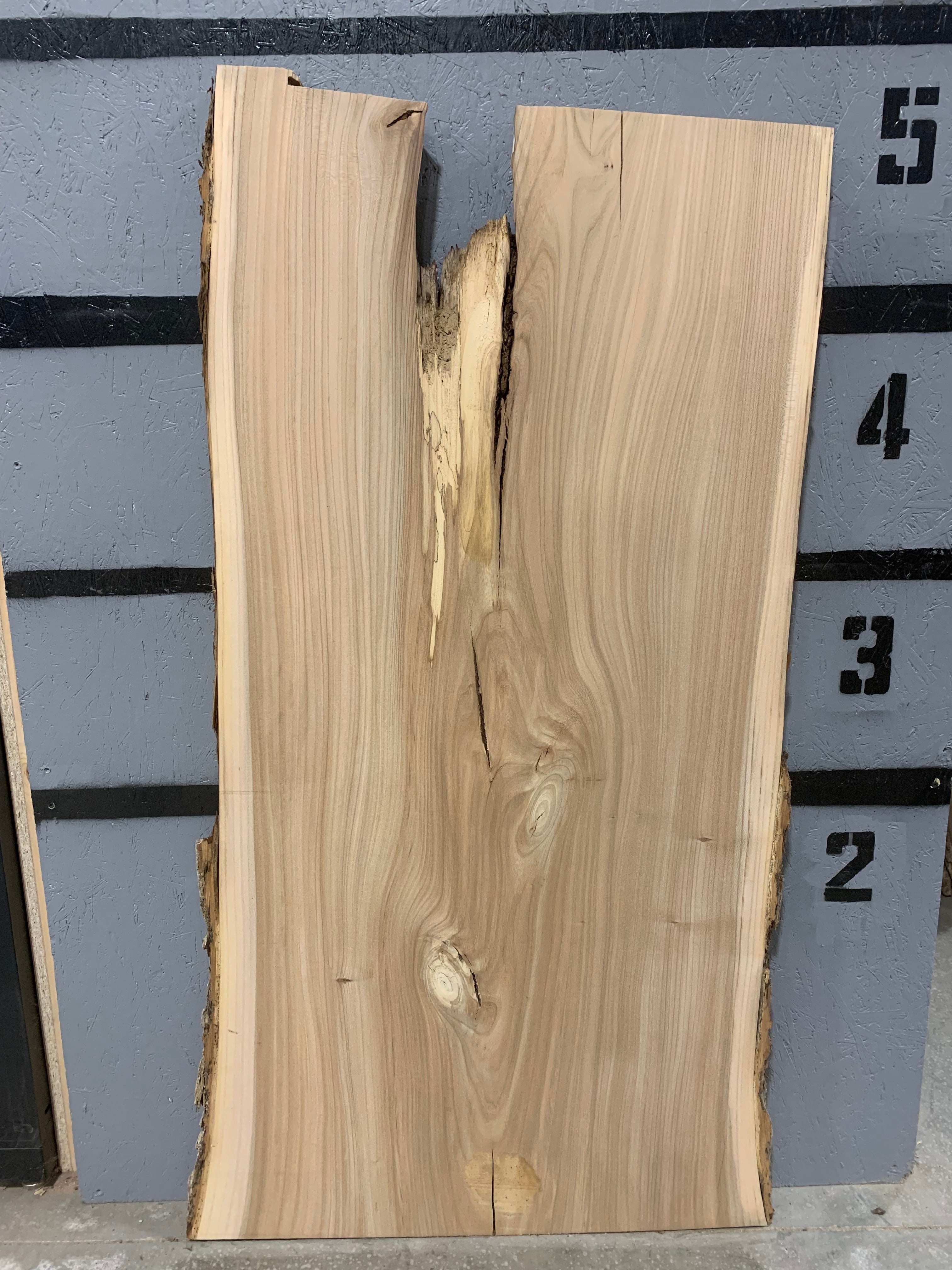 Elm Slab | W397