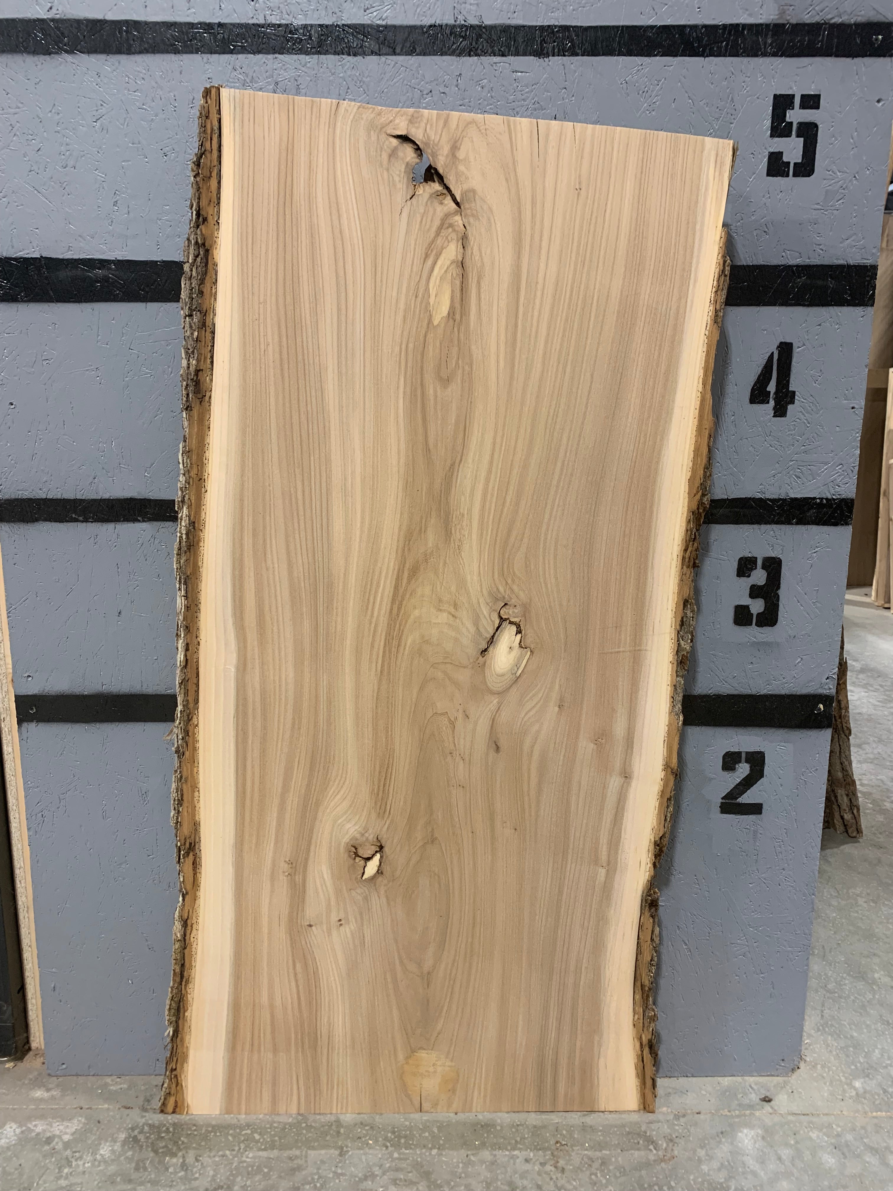 Elm Slab | W396