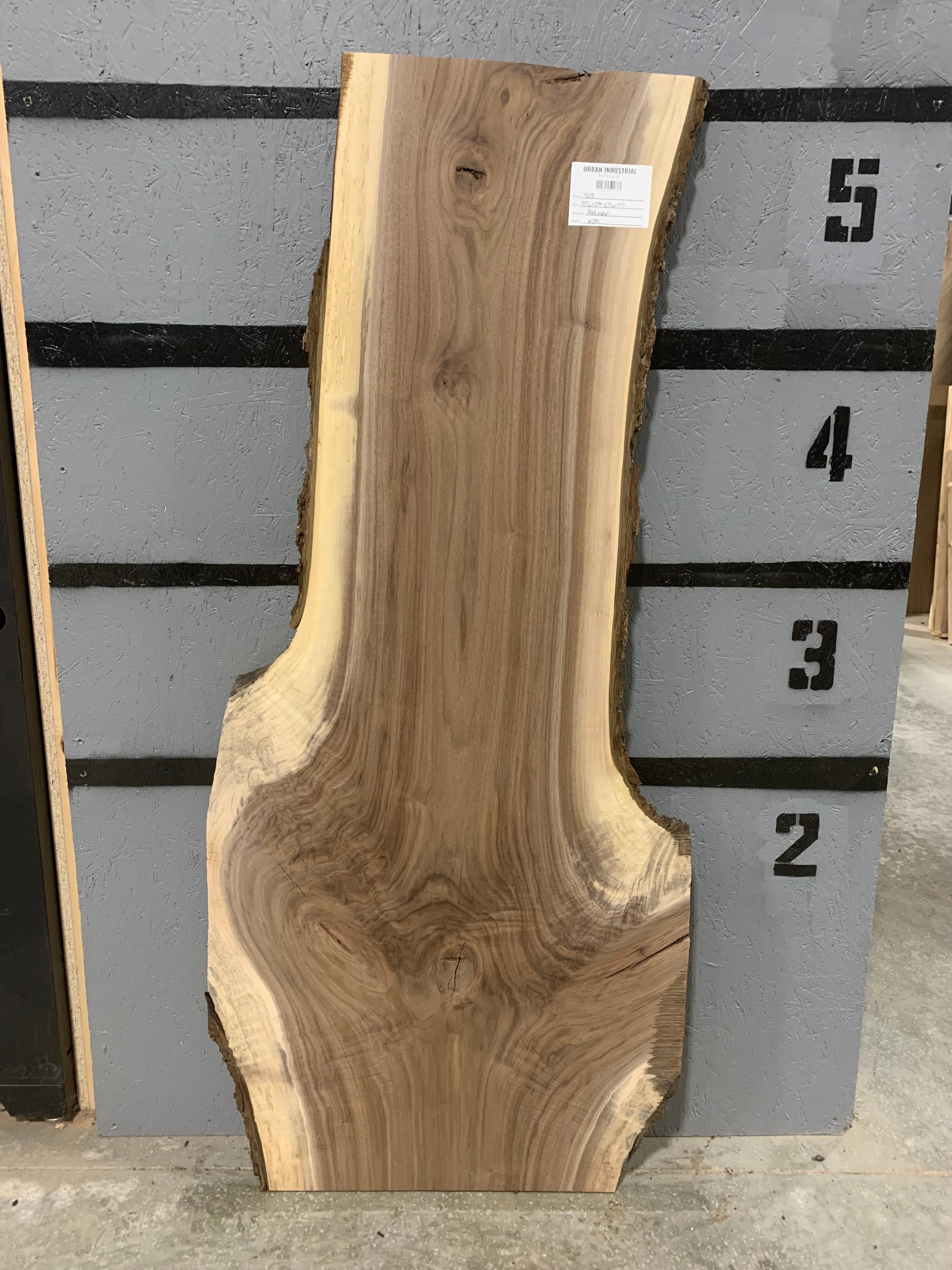 Black Walnut Slab | W394
