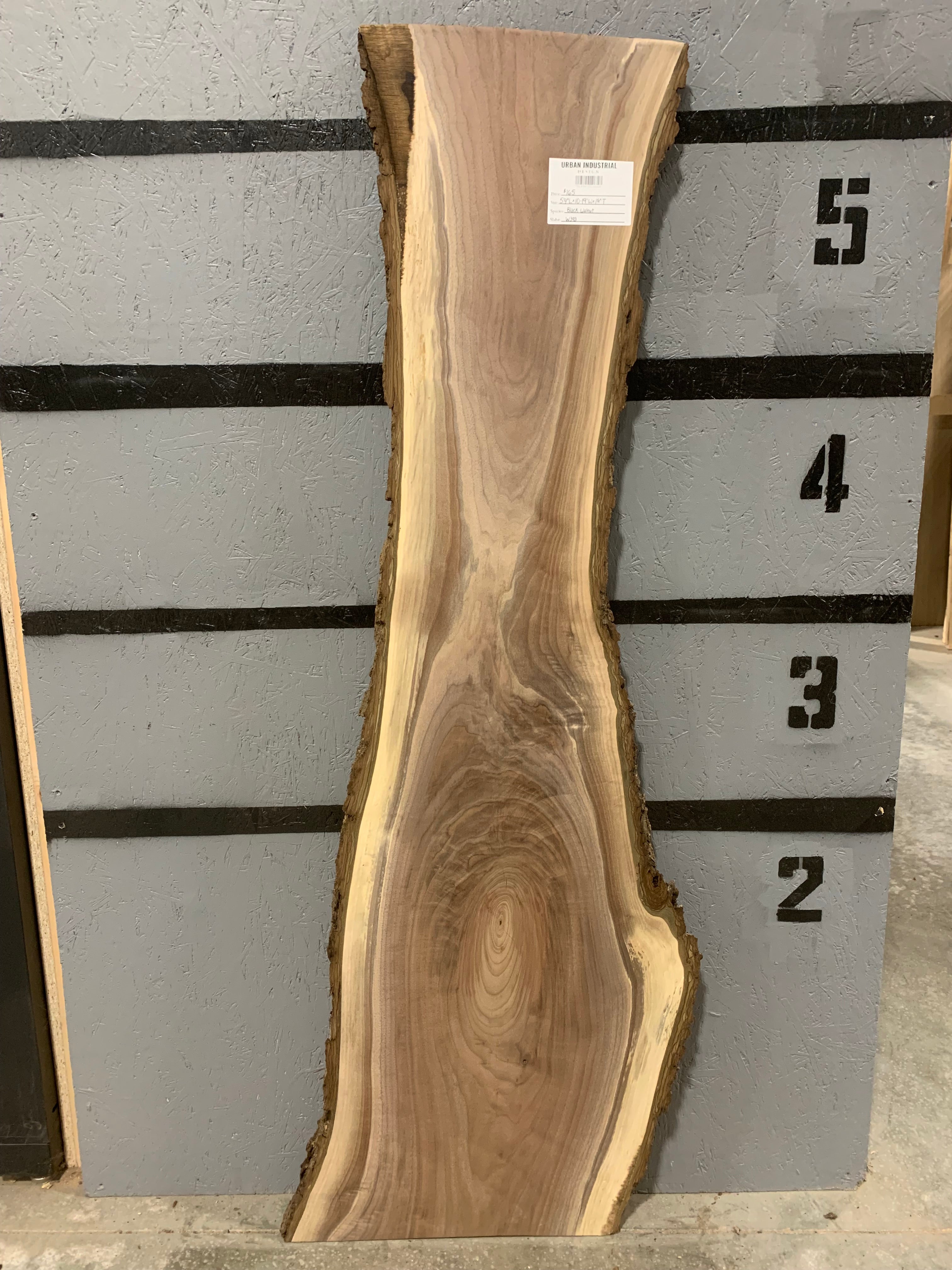 Black Walnut Slab | W393
