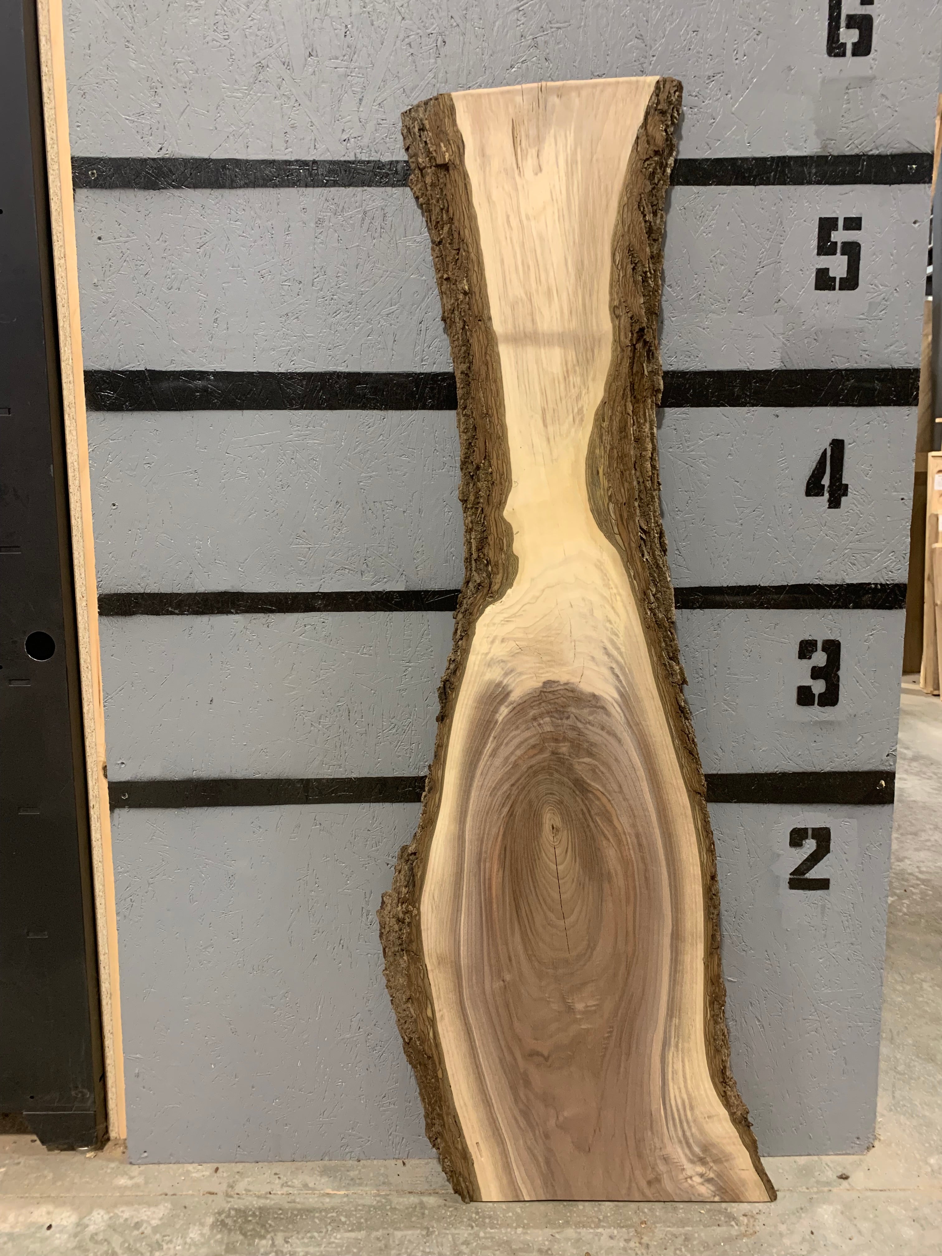 Black Walnut Slab | W393