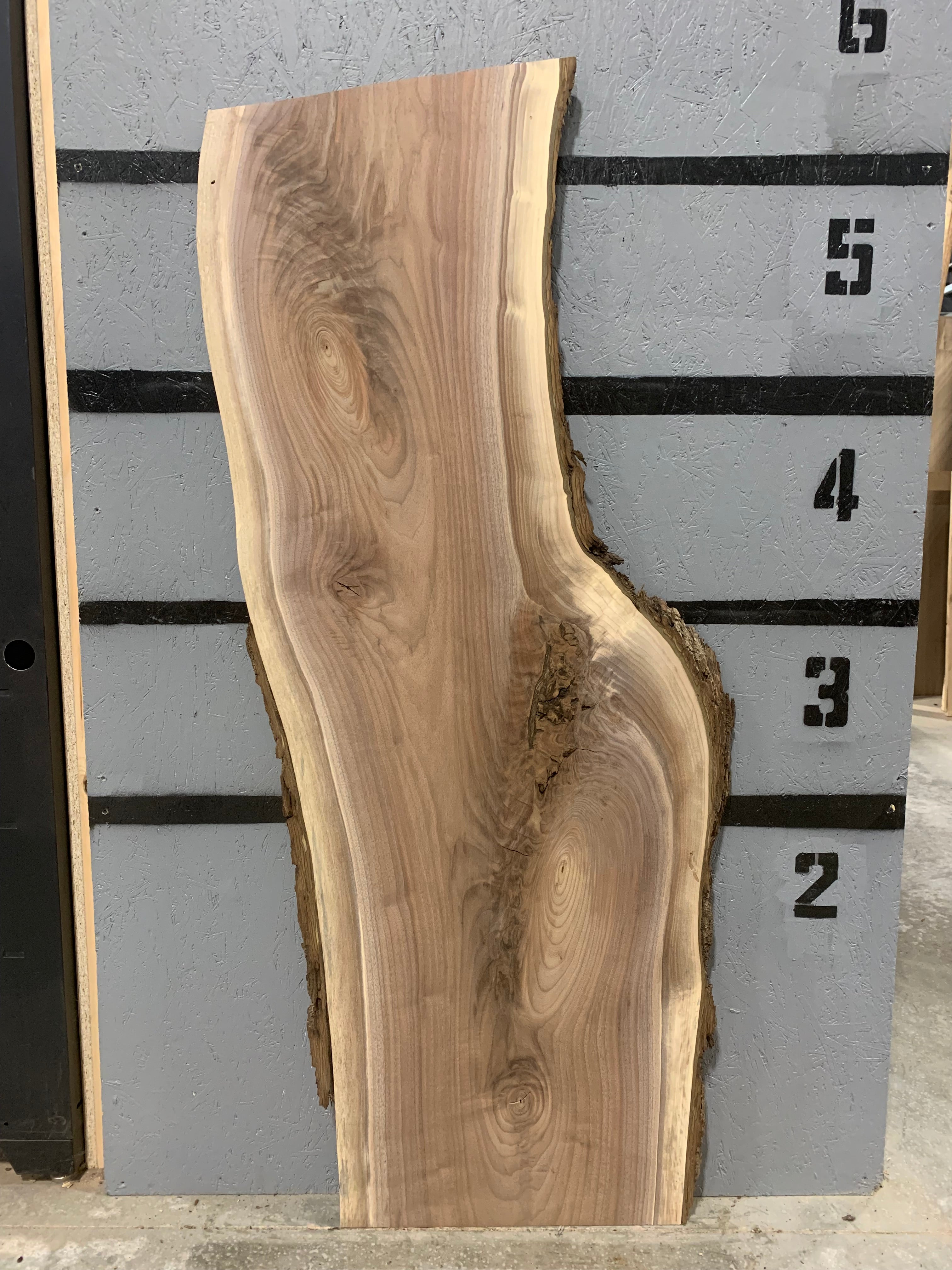 Black Walnut Slab | W391