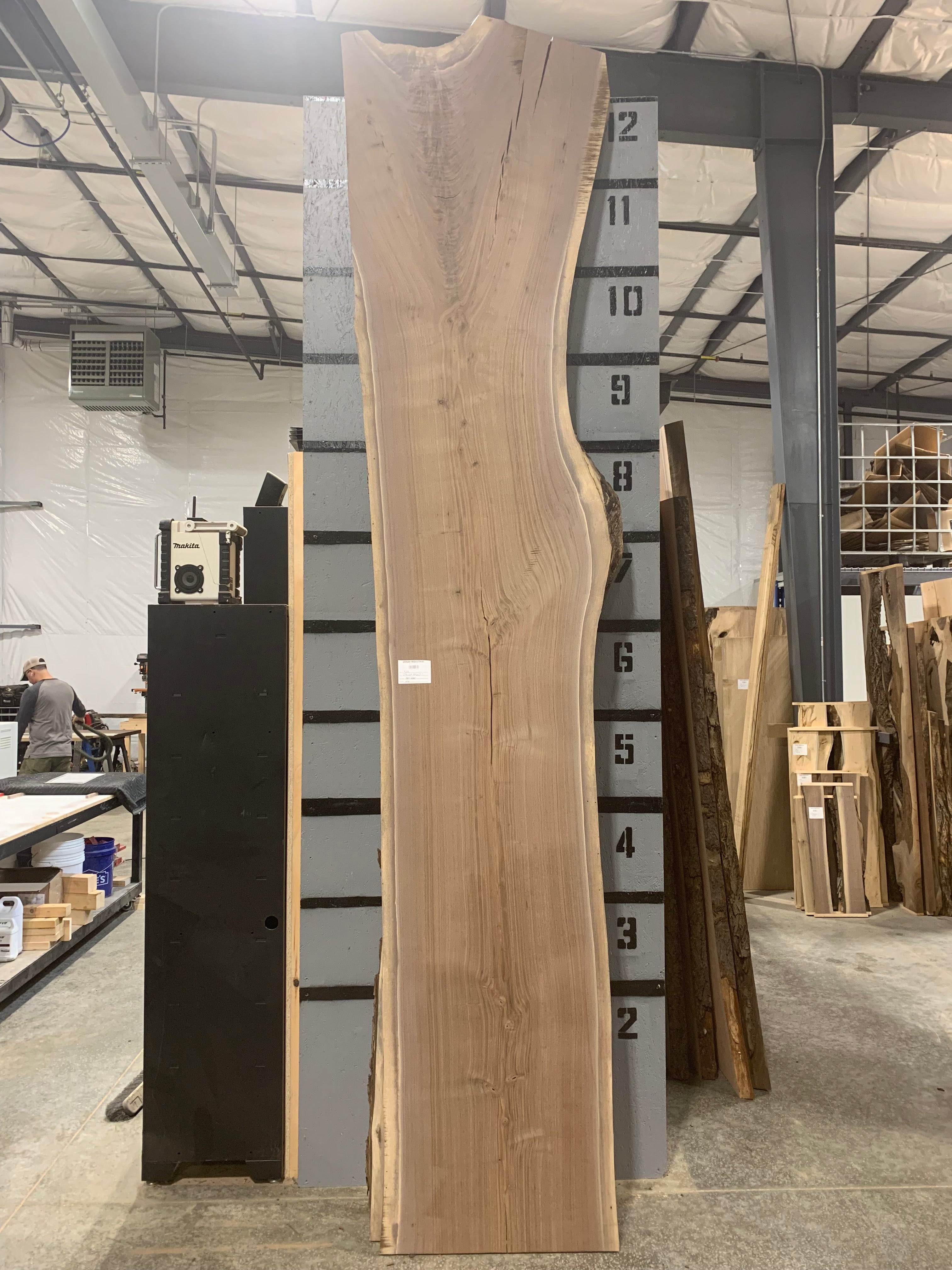 Black Walnut Slab | W401
