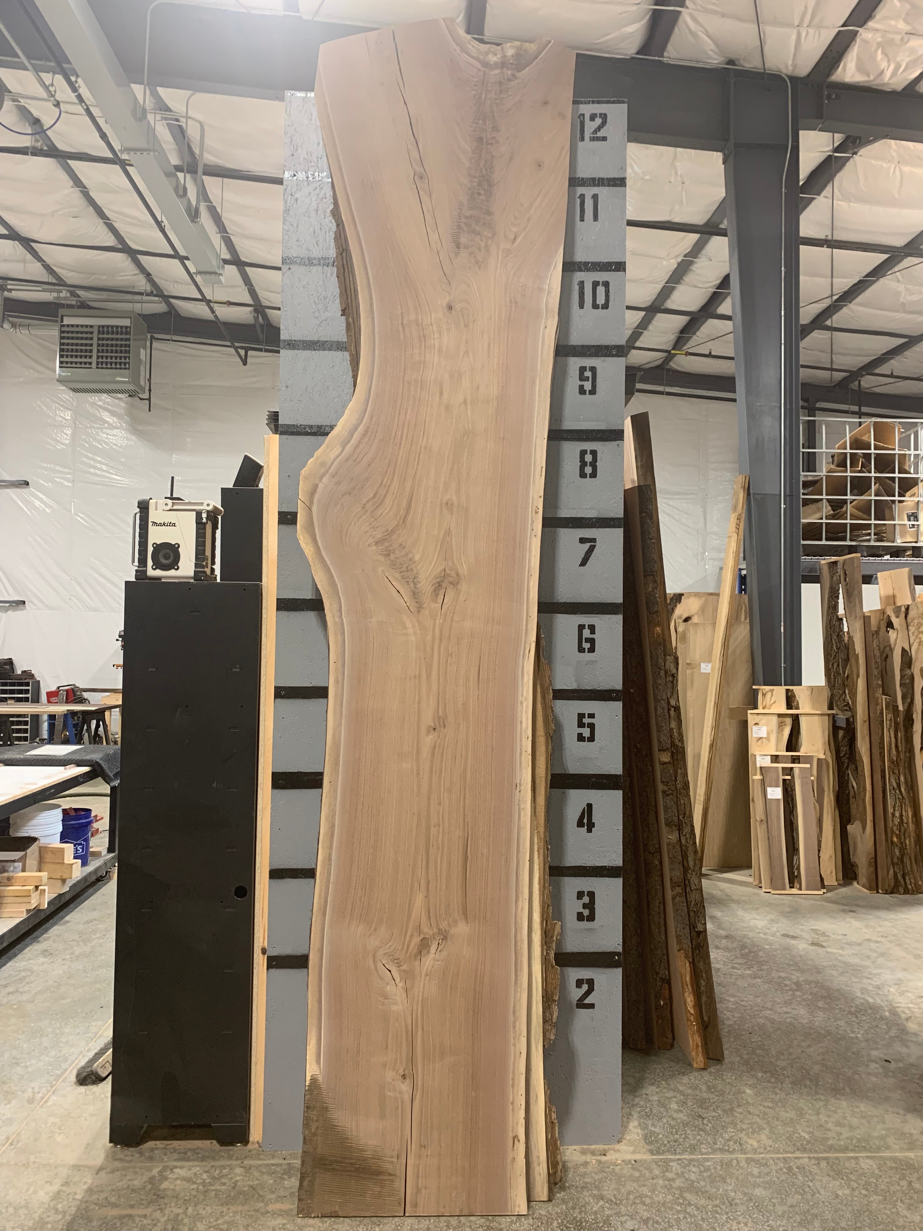Black Walnut Slab | W401