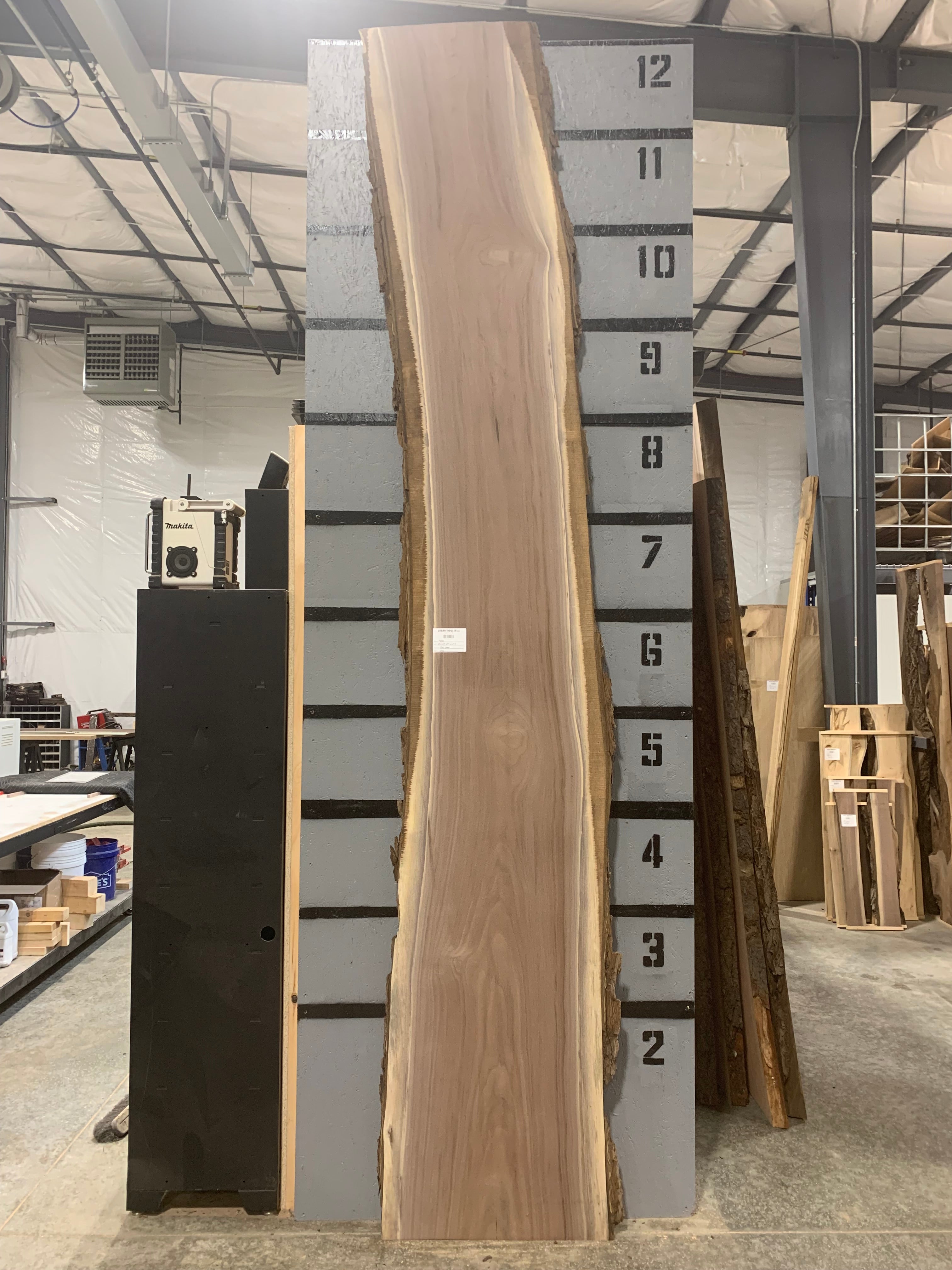 Black Walnut Slab | W402