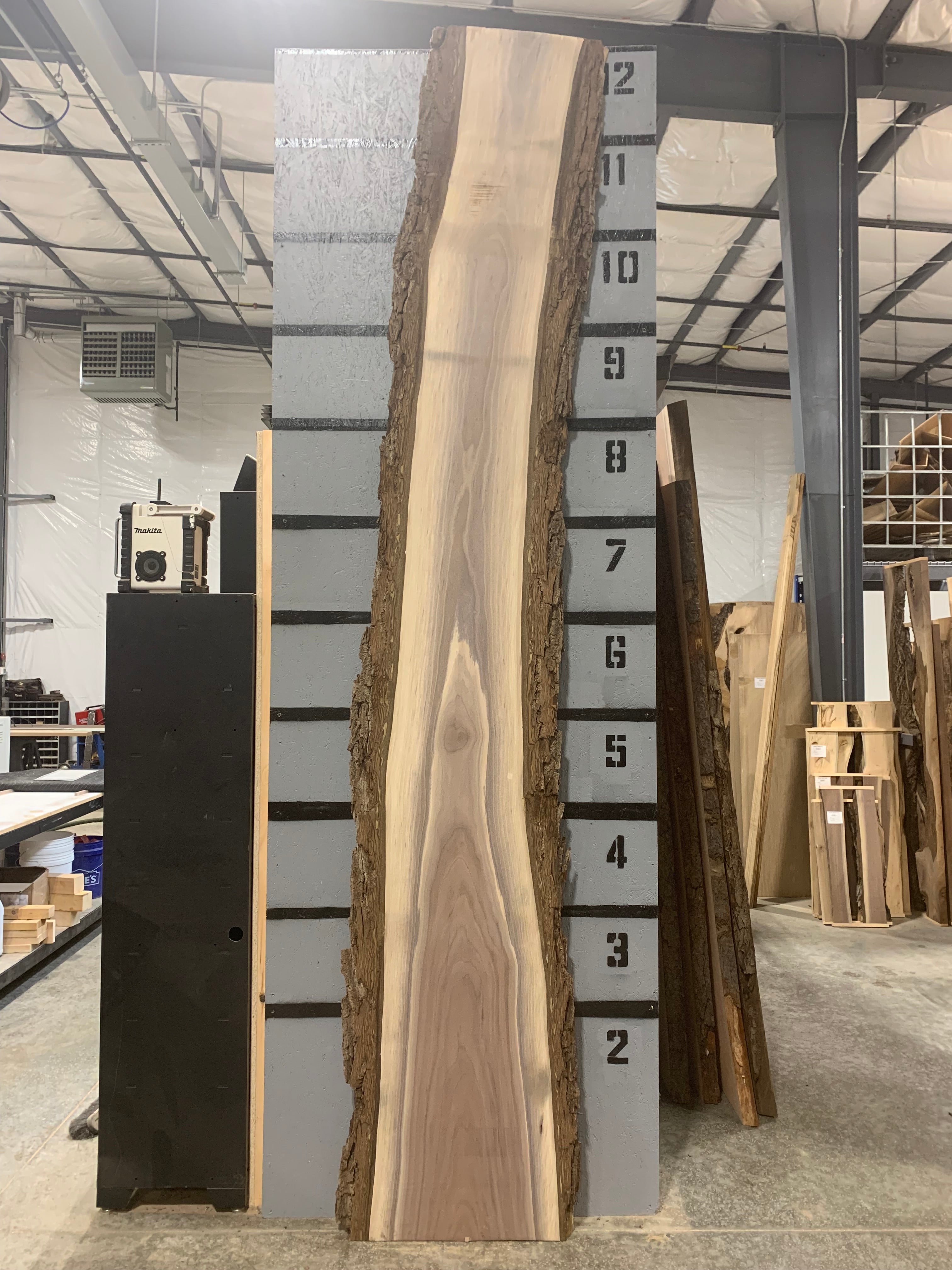 Black Walnut Slab | W402