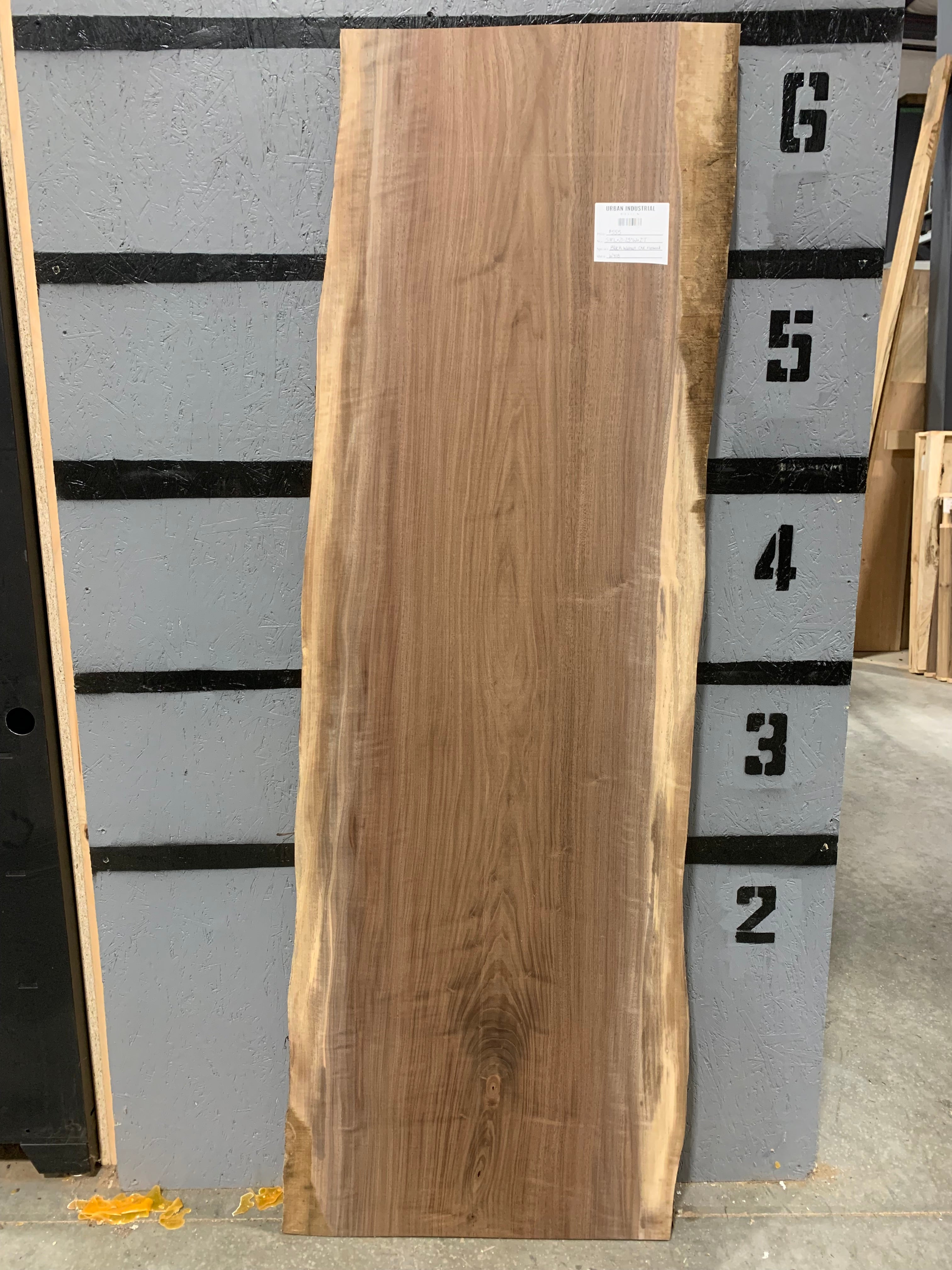 Black Walnut Slab - CNC Flattened | W418