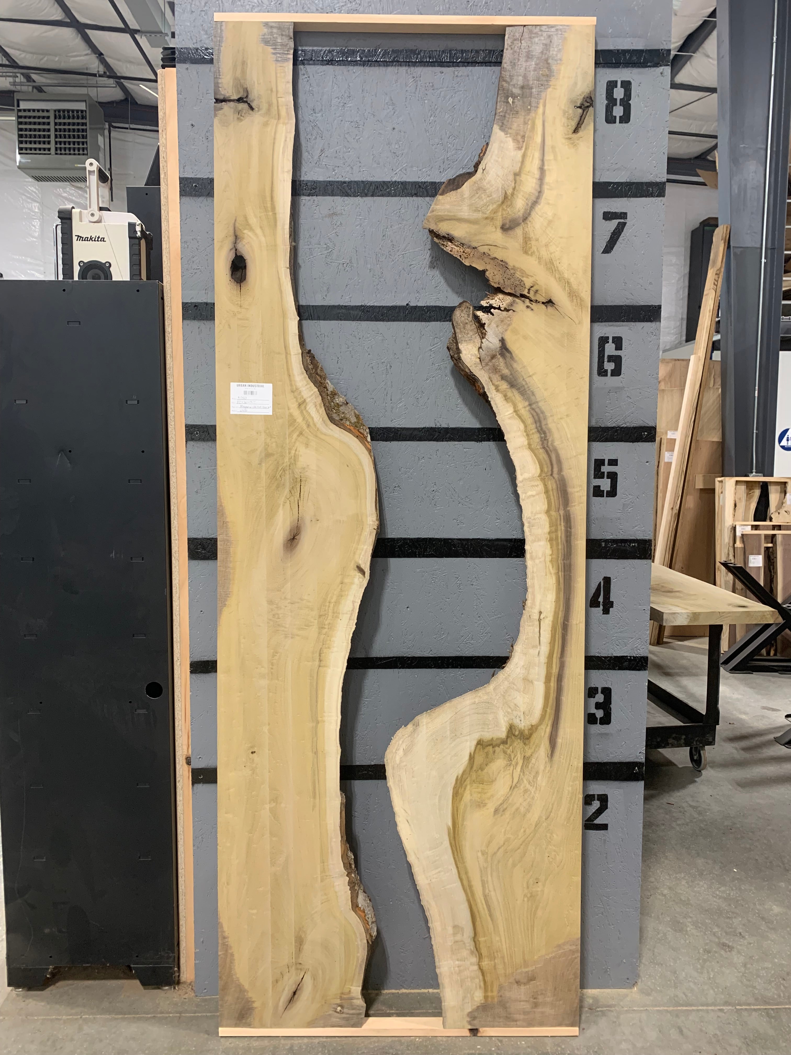 Magnolia Slab - CNC Flat - Resin Set | W420