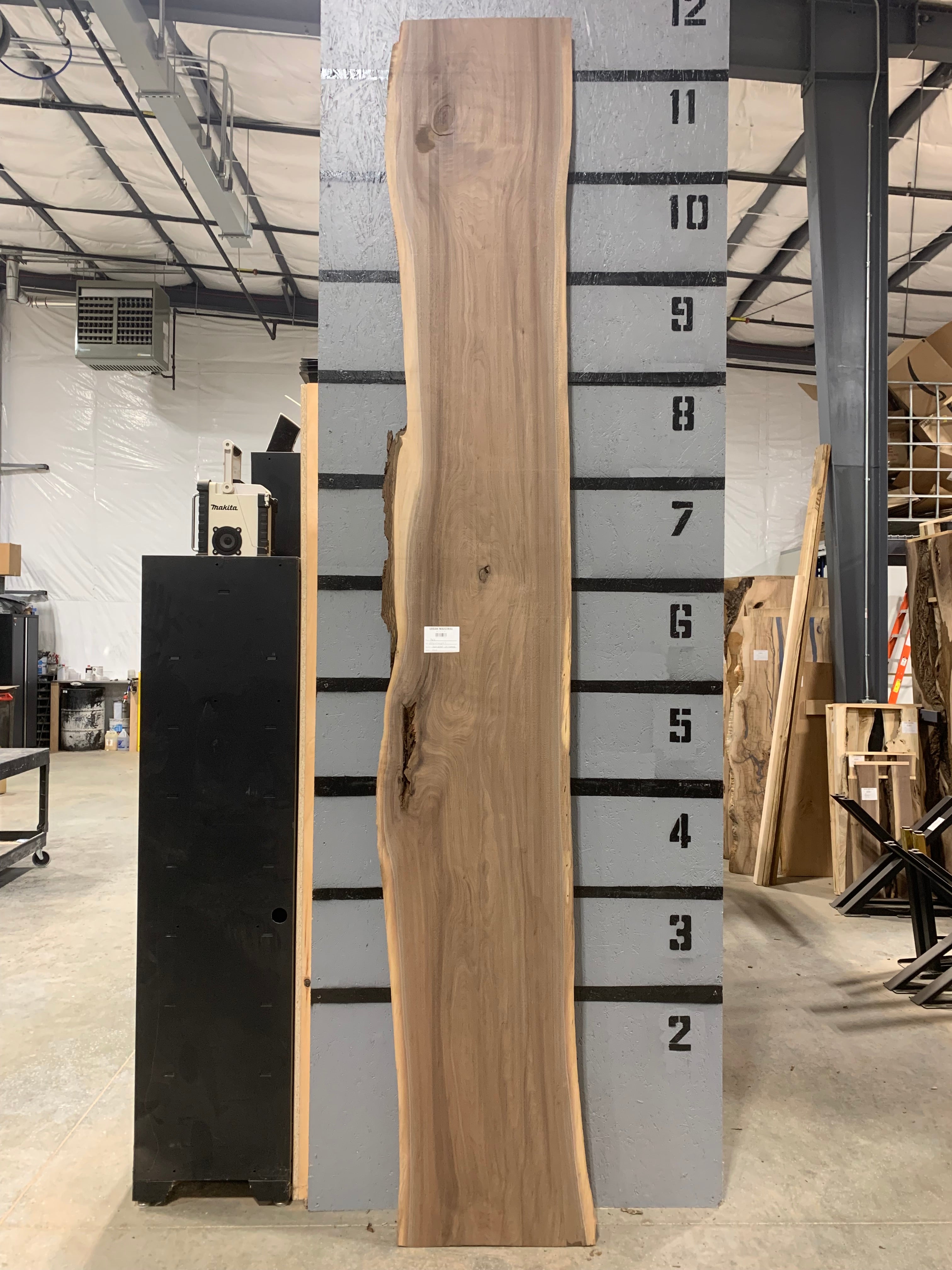 Black Walnut Slab - CNC Flattened | W430