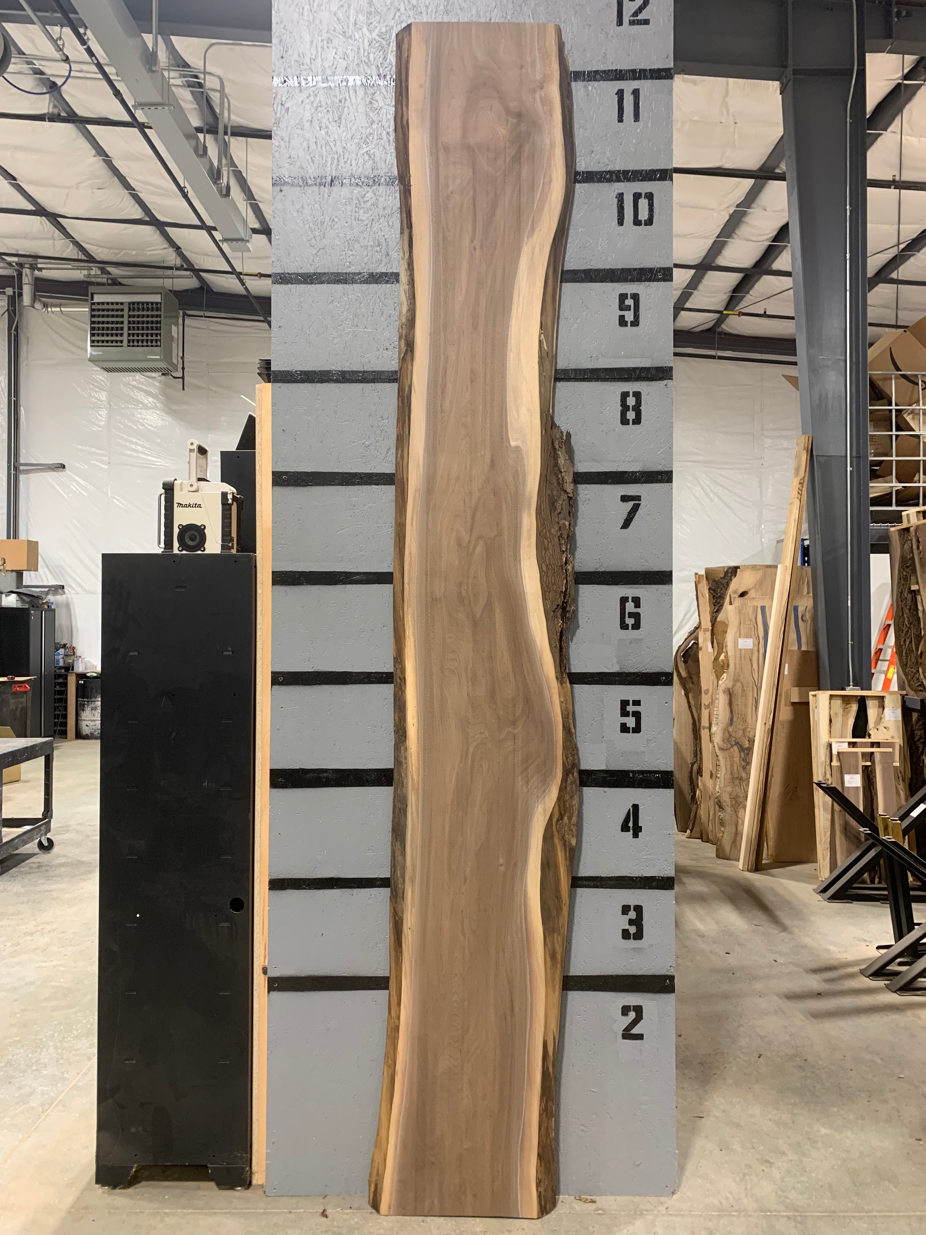 Black Walnut Slab - CNC Flattened | W430