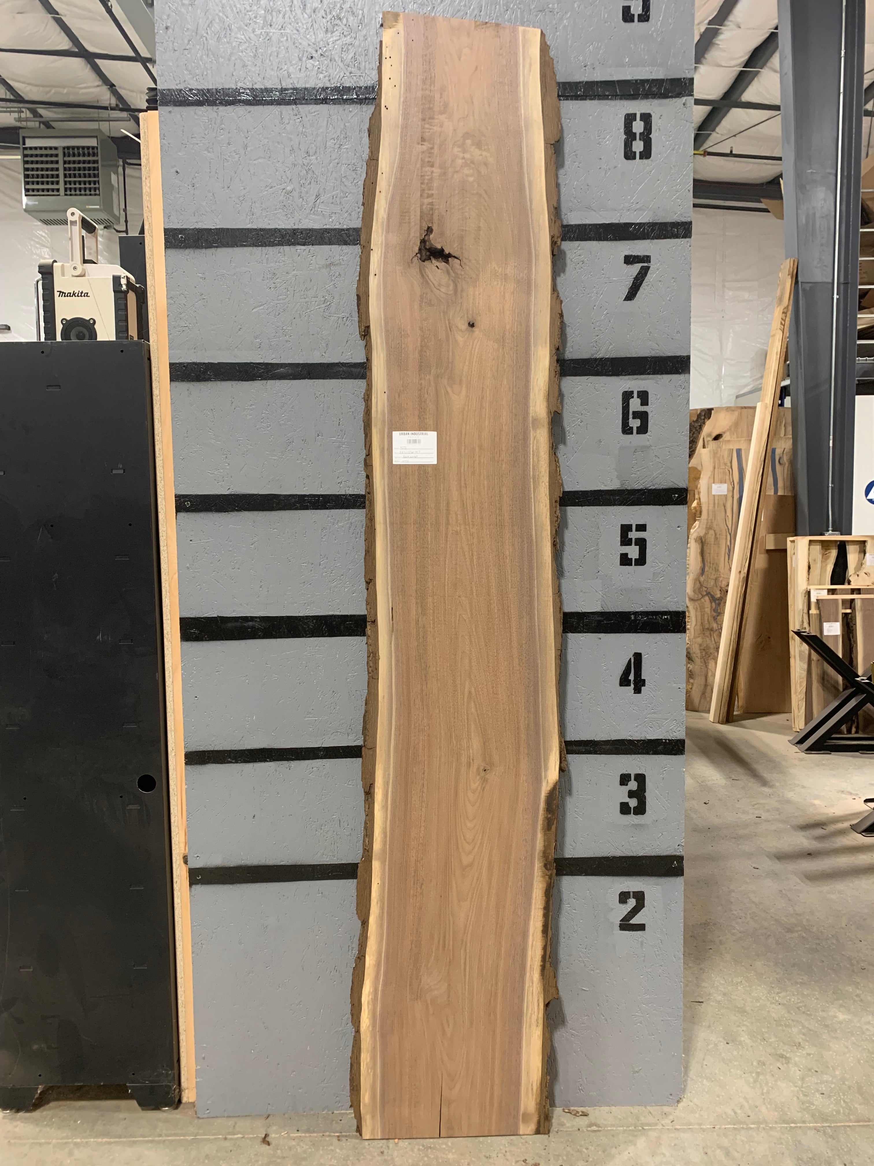 Black Walnut Slab | W432
