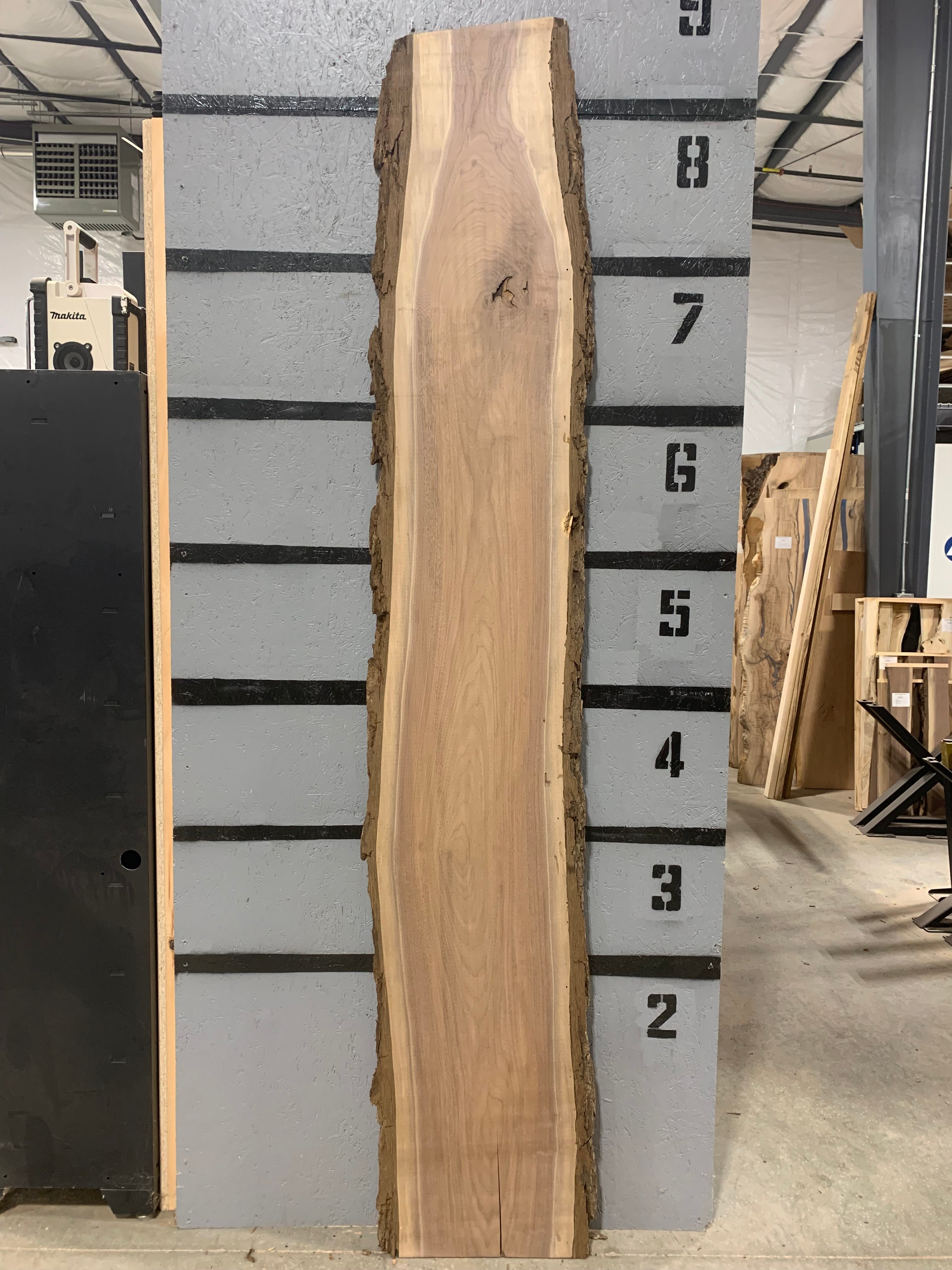 Black Walnut Slab | W432
