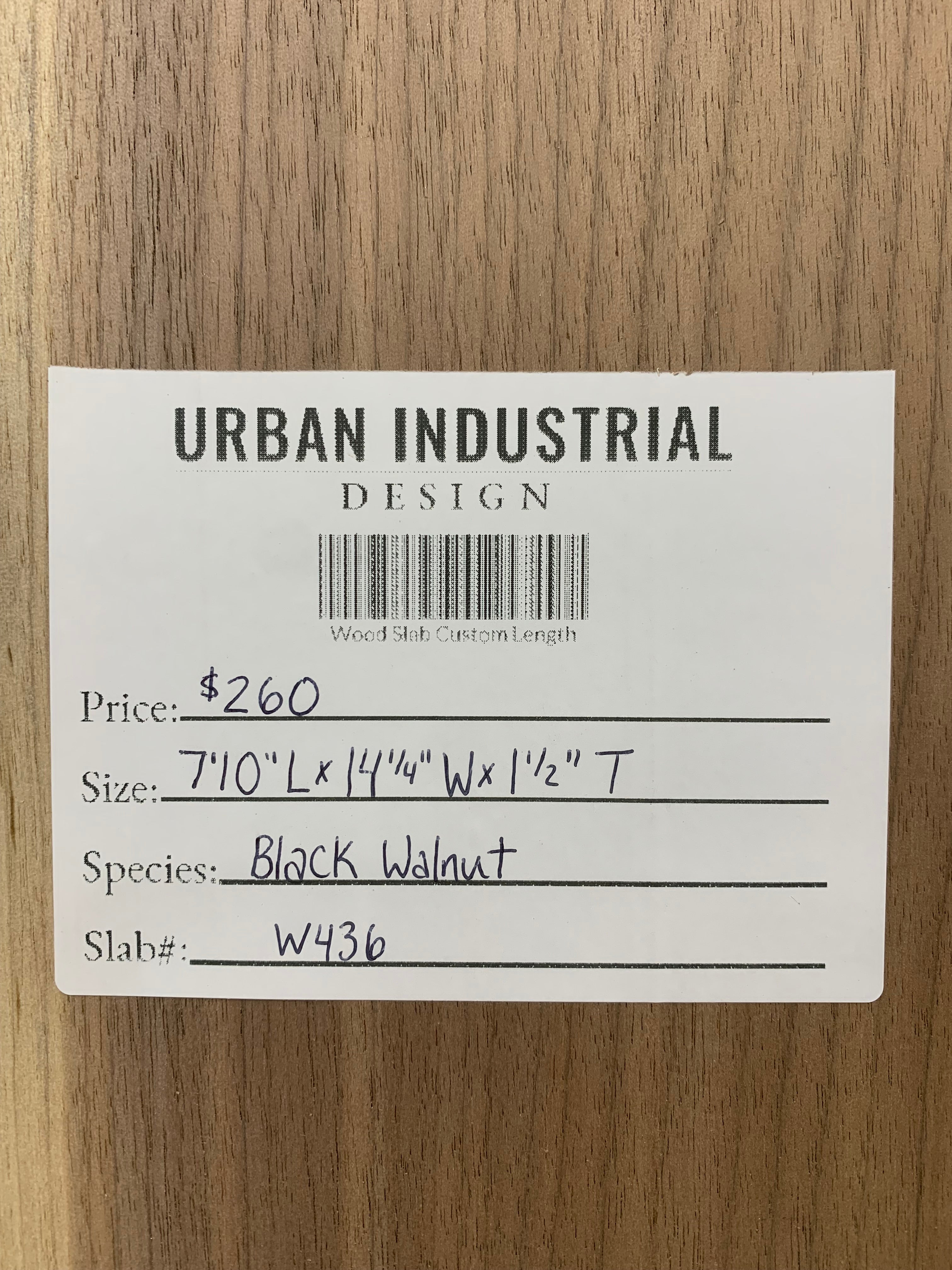 Black Walnut Slab | W436