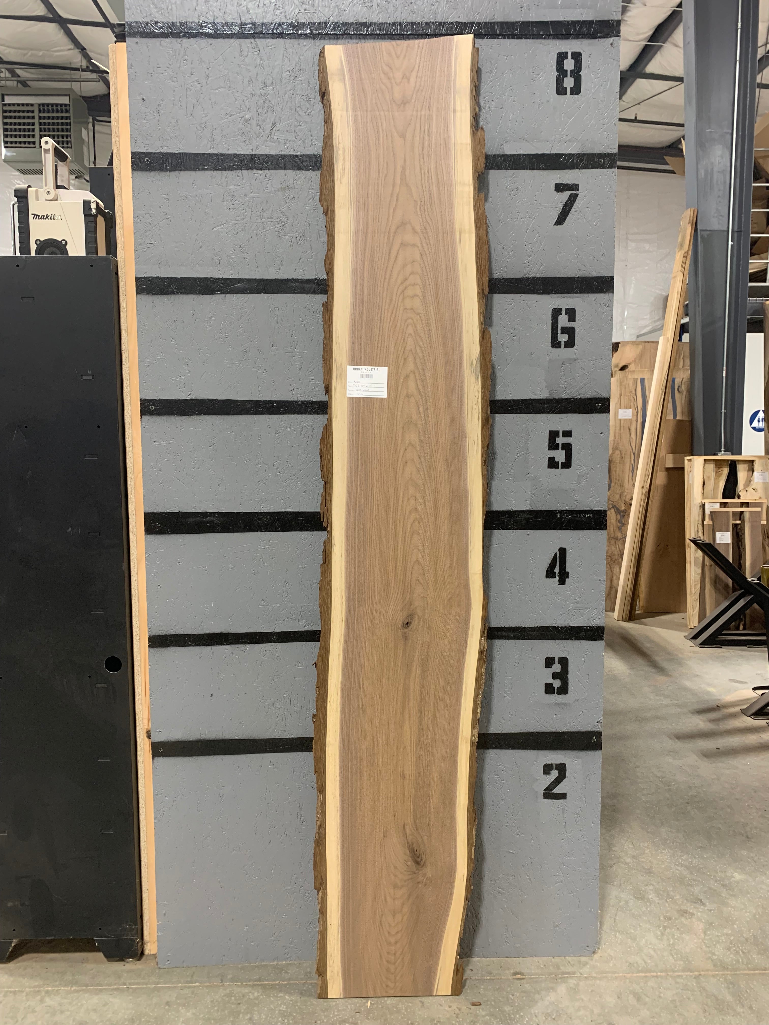 Black Walnut Slab | W436