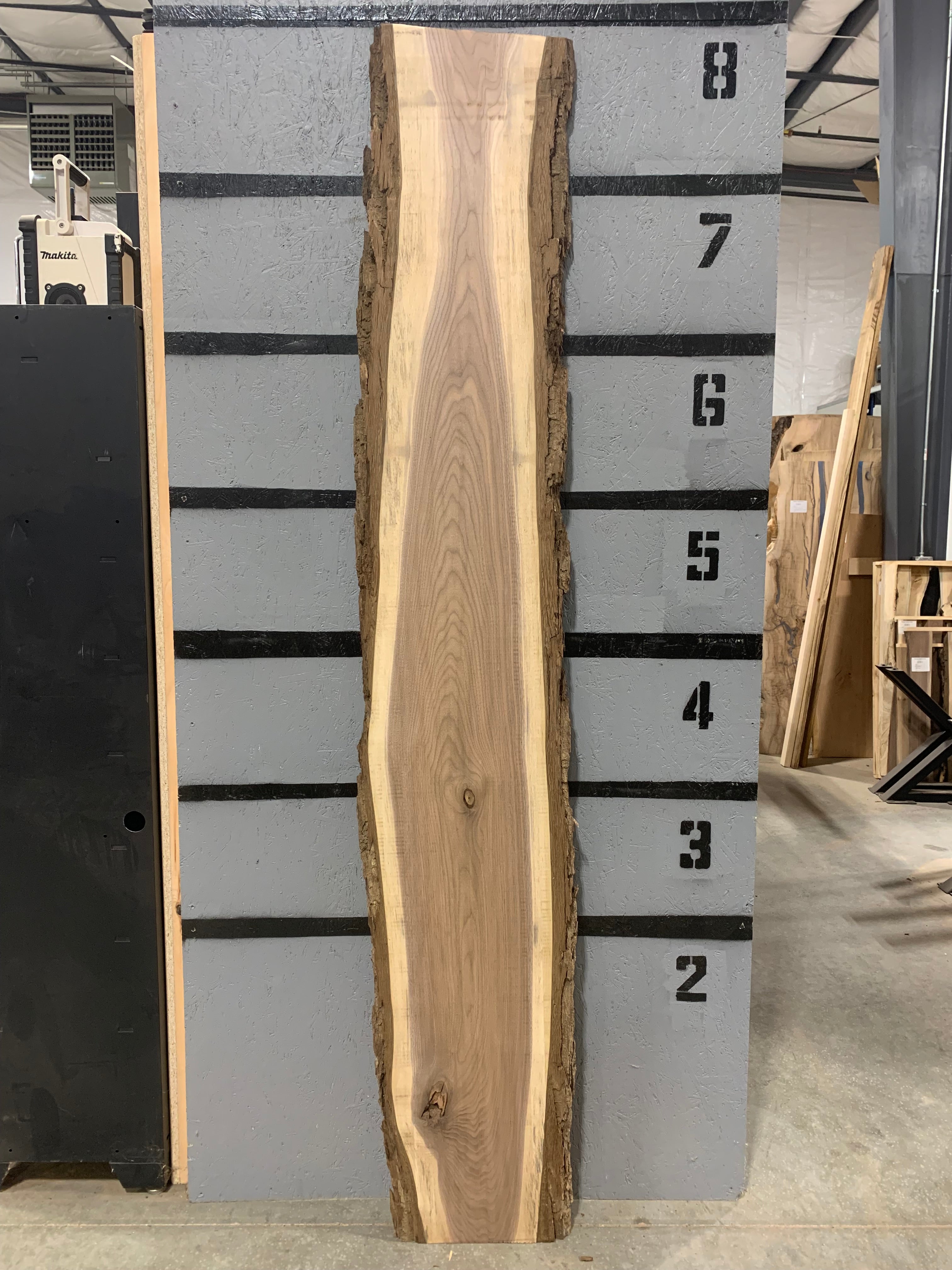 Black Walnut Slab | W436