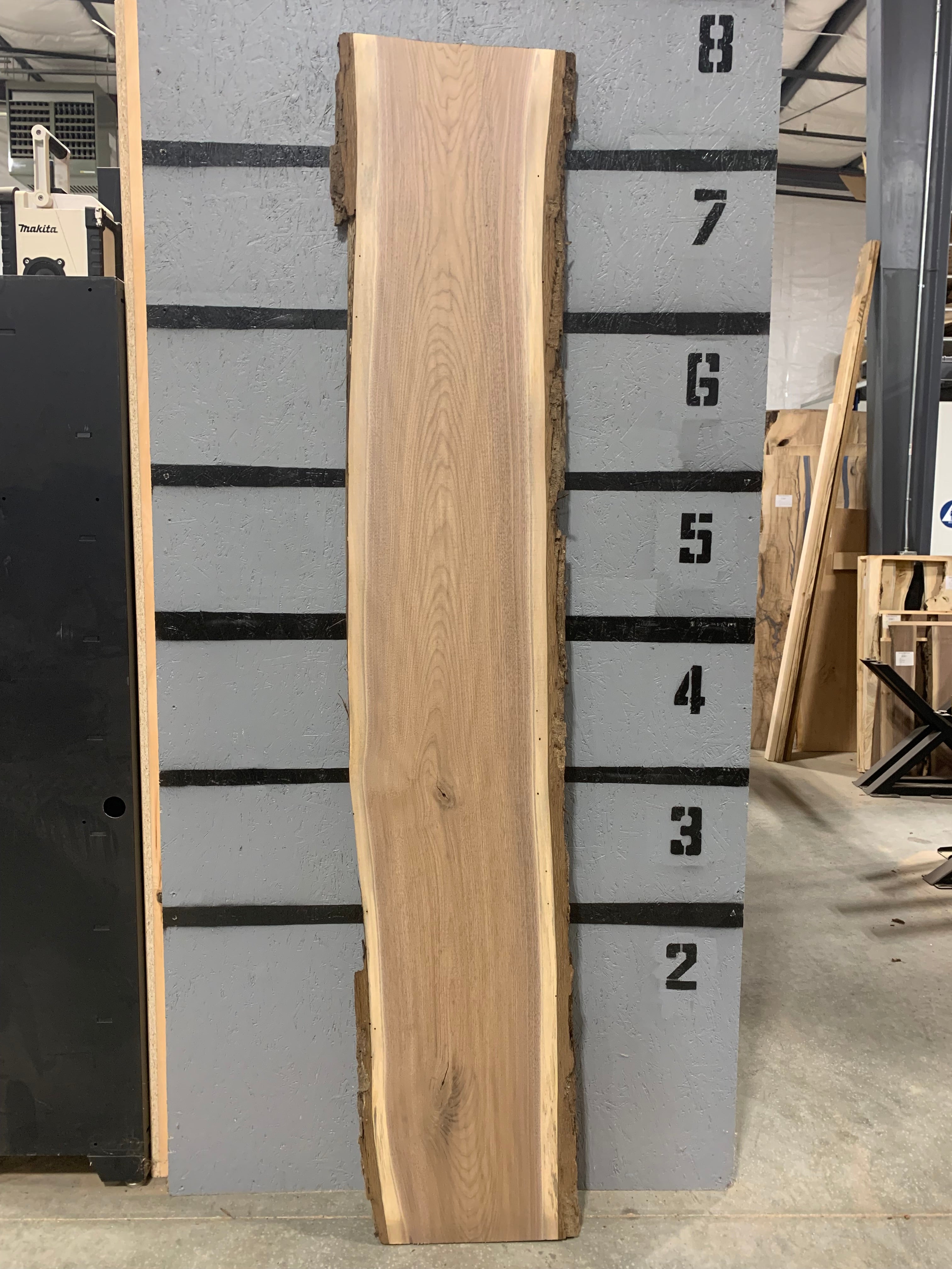 Black Walnut Slab | W439