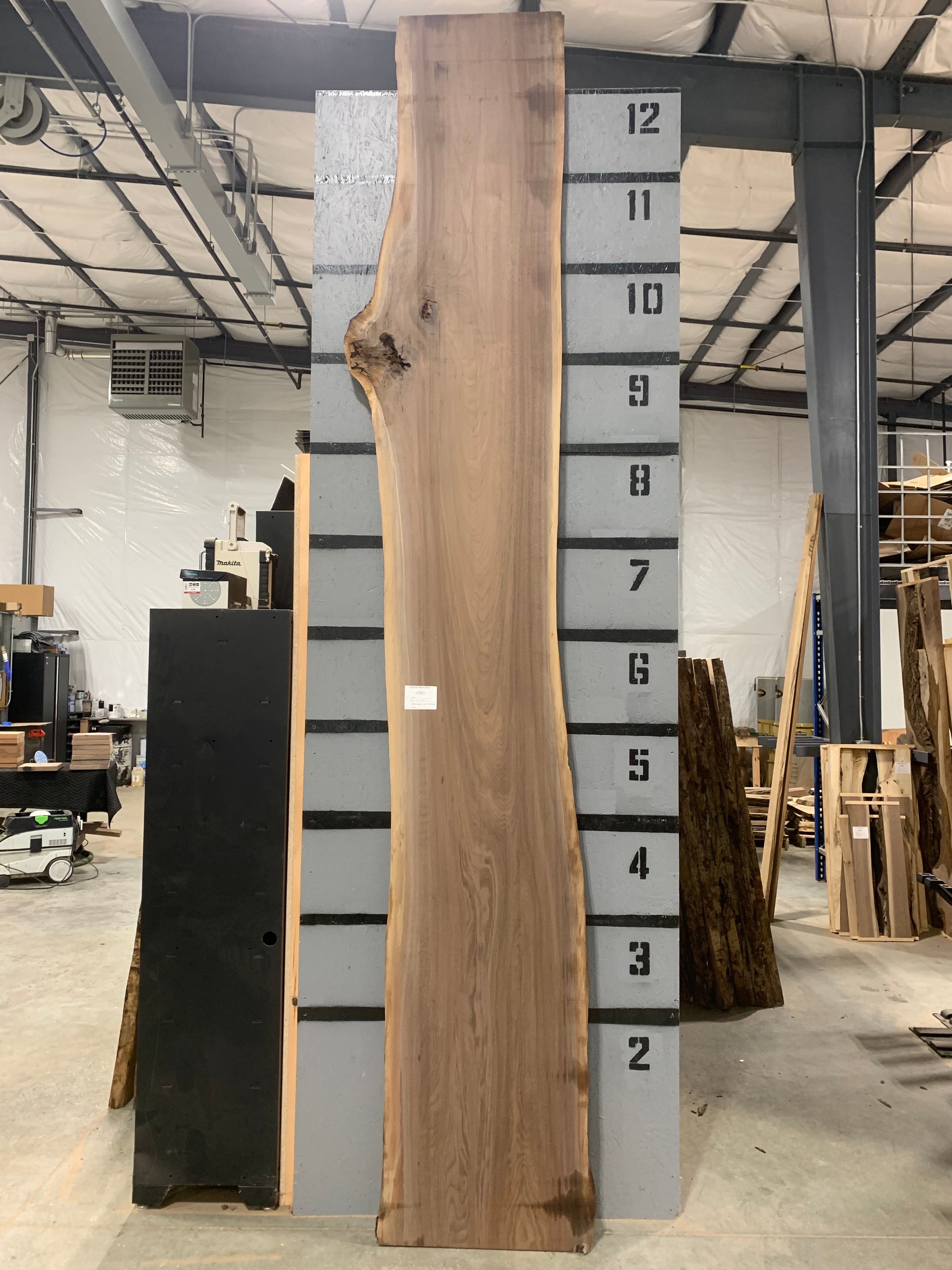 Black Walnut Slab - CNC Flattened | W451