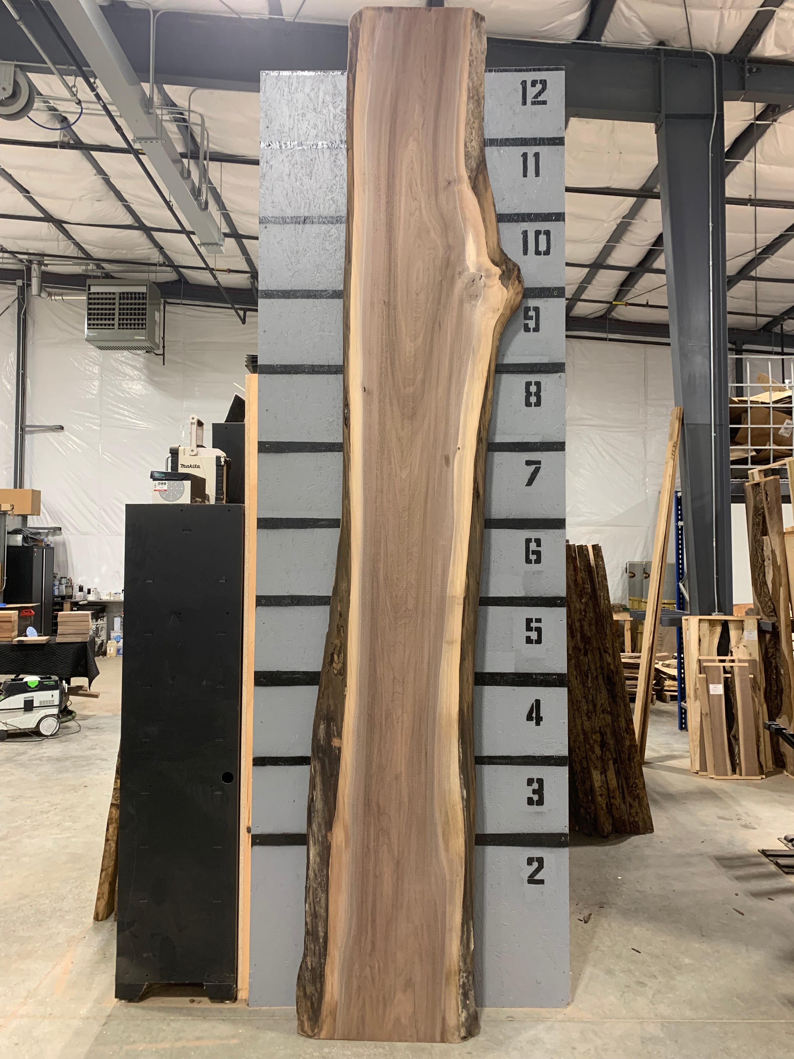 Black Walnut Slab - CNC Flattened | W451
