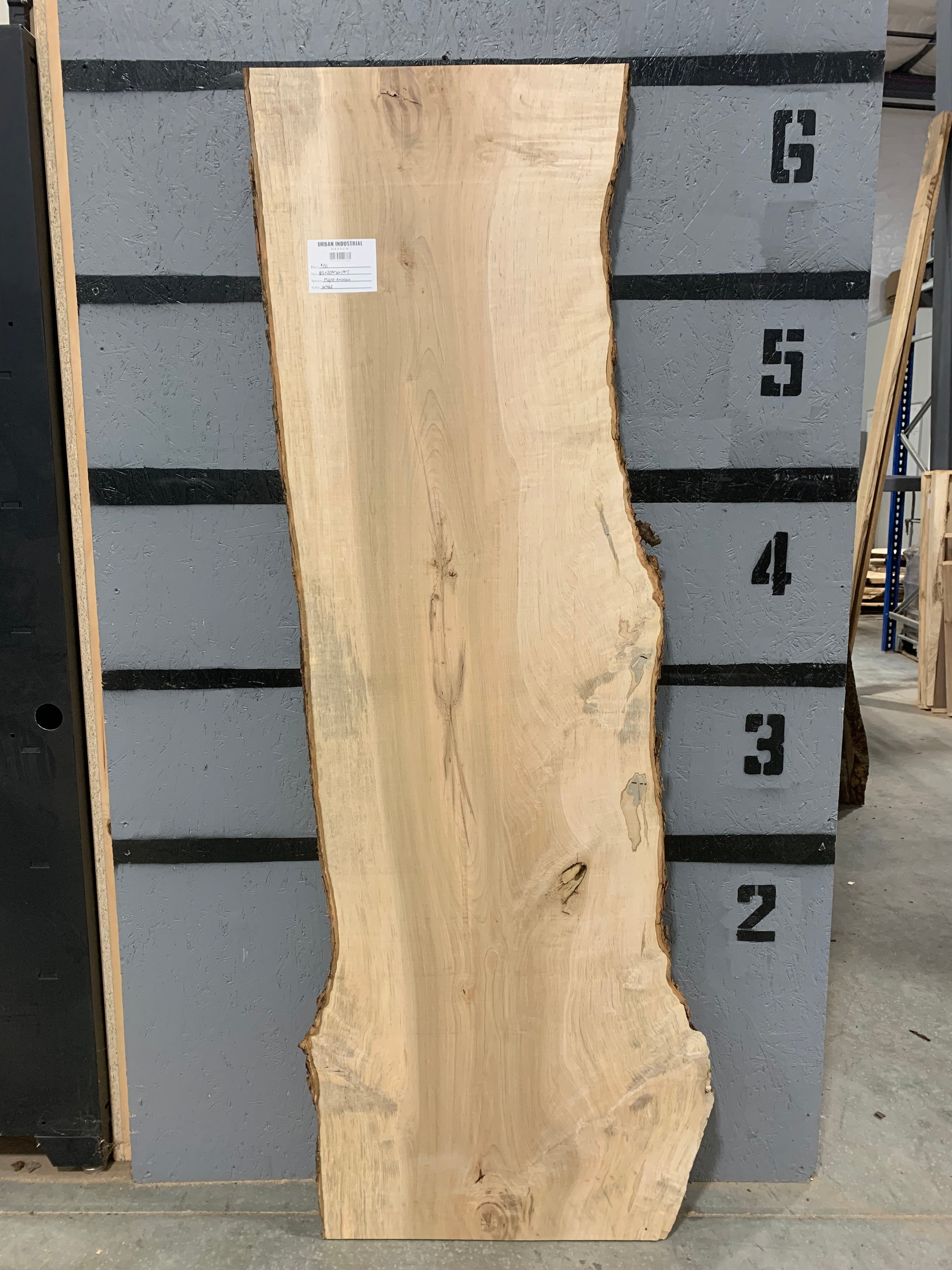Maple Slab - Ambrosia | W462