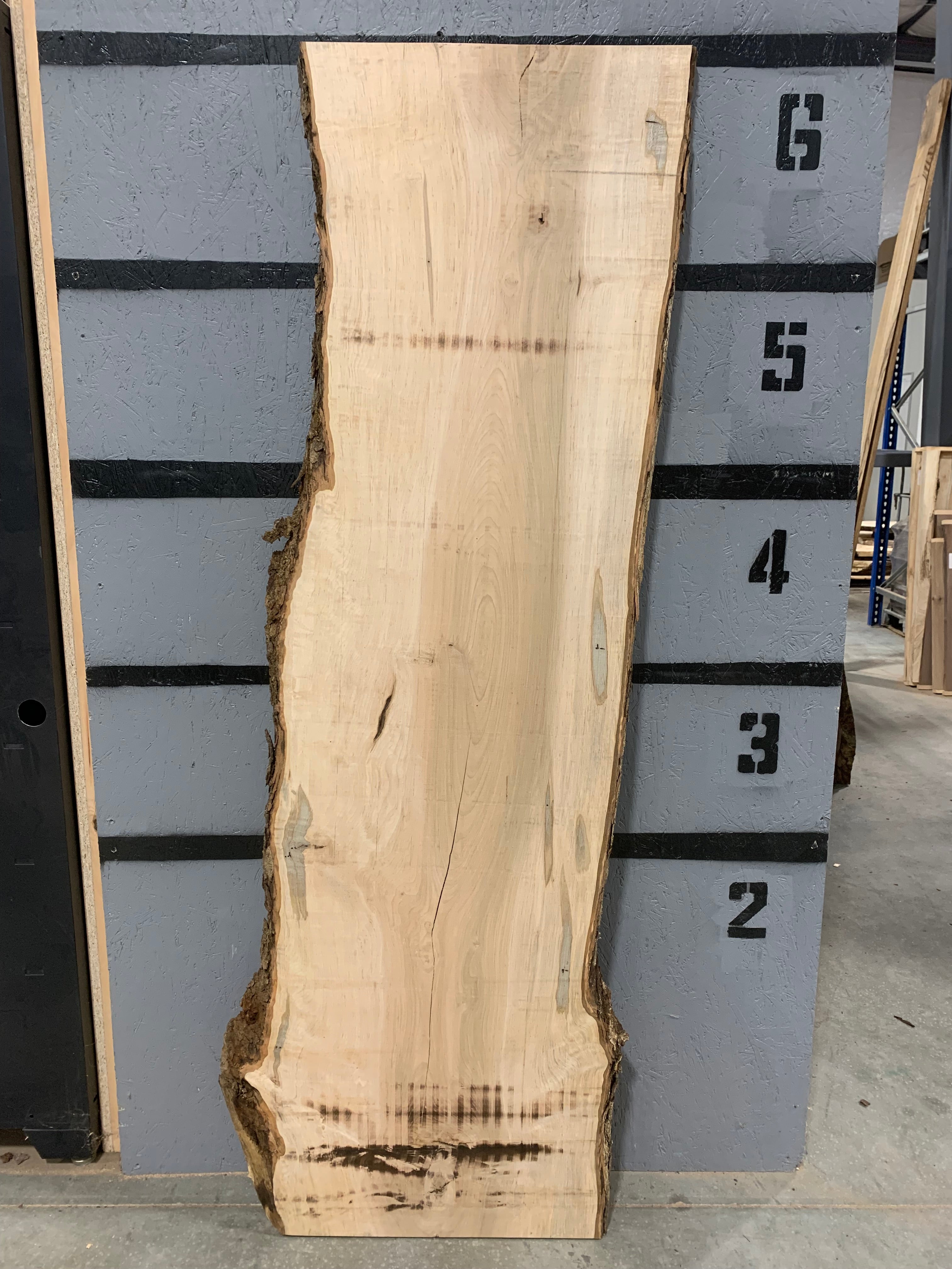 Maple Slab - Ambrosia | W462