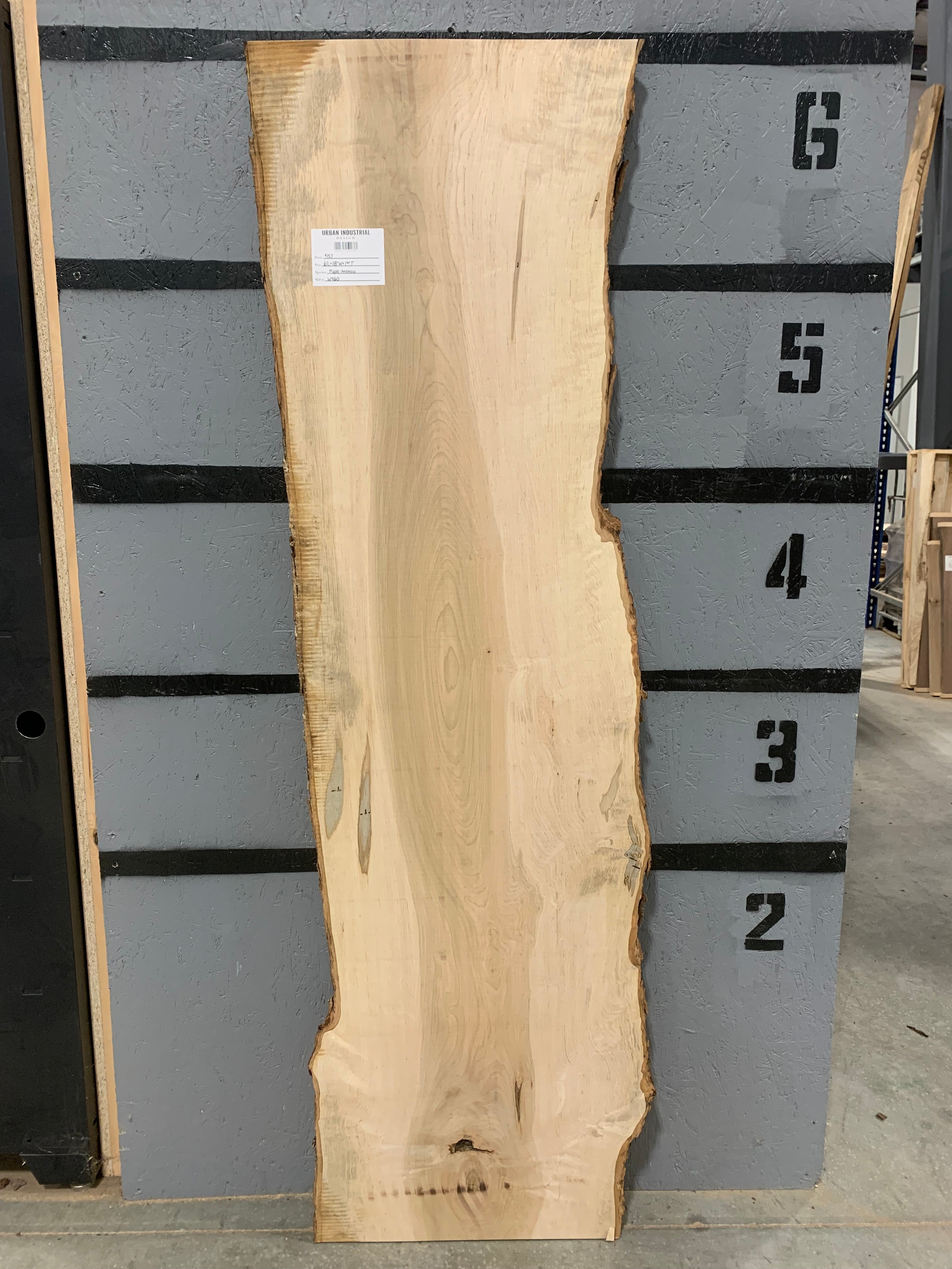 Maple Slab - Ambrosia | W460