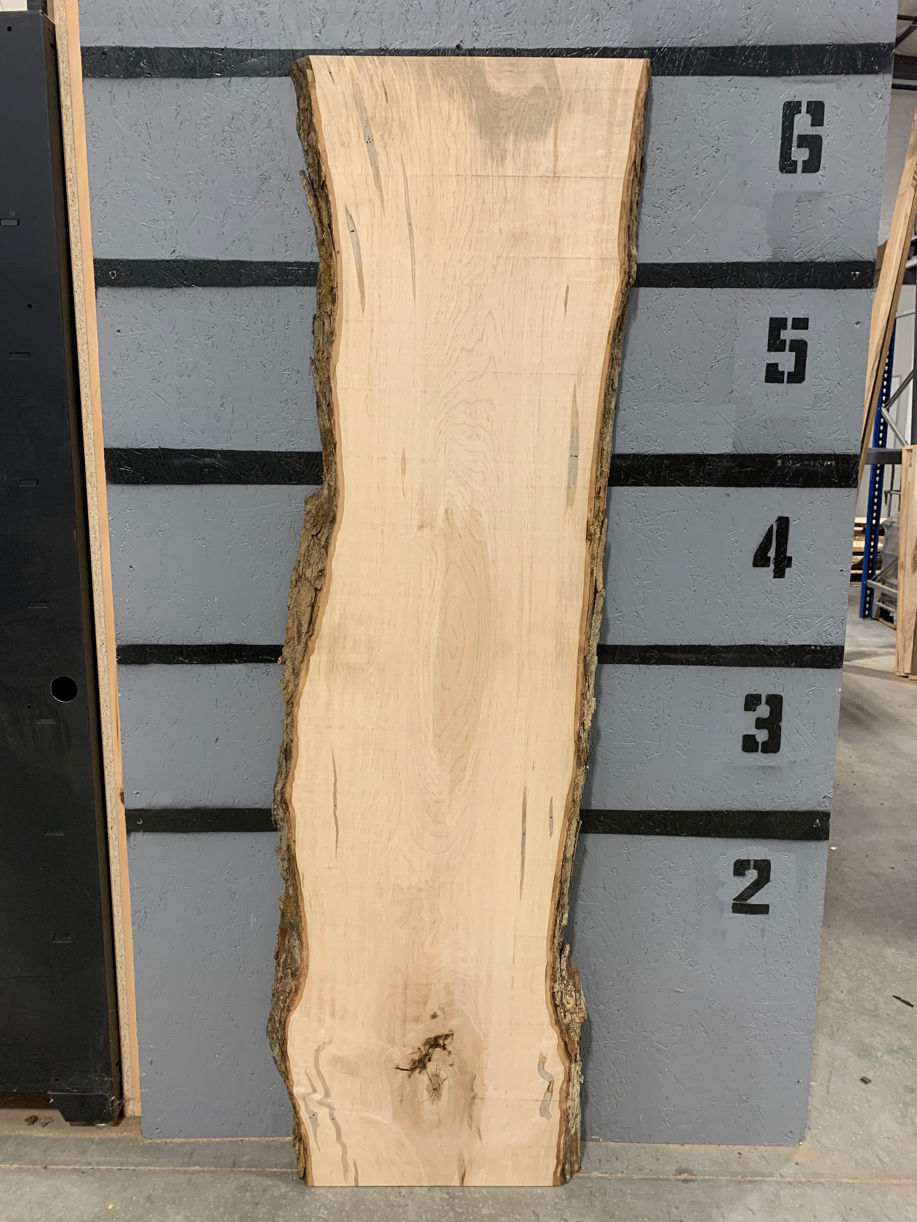 Maple Slab - Ambrosia | W460