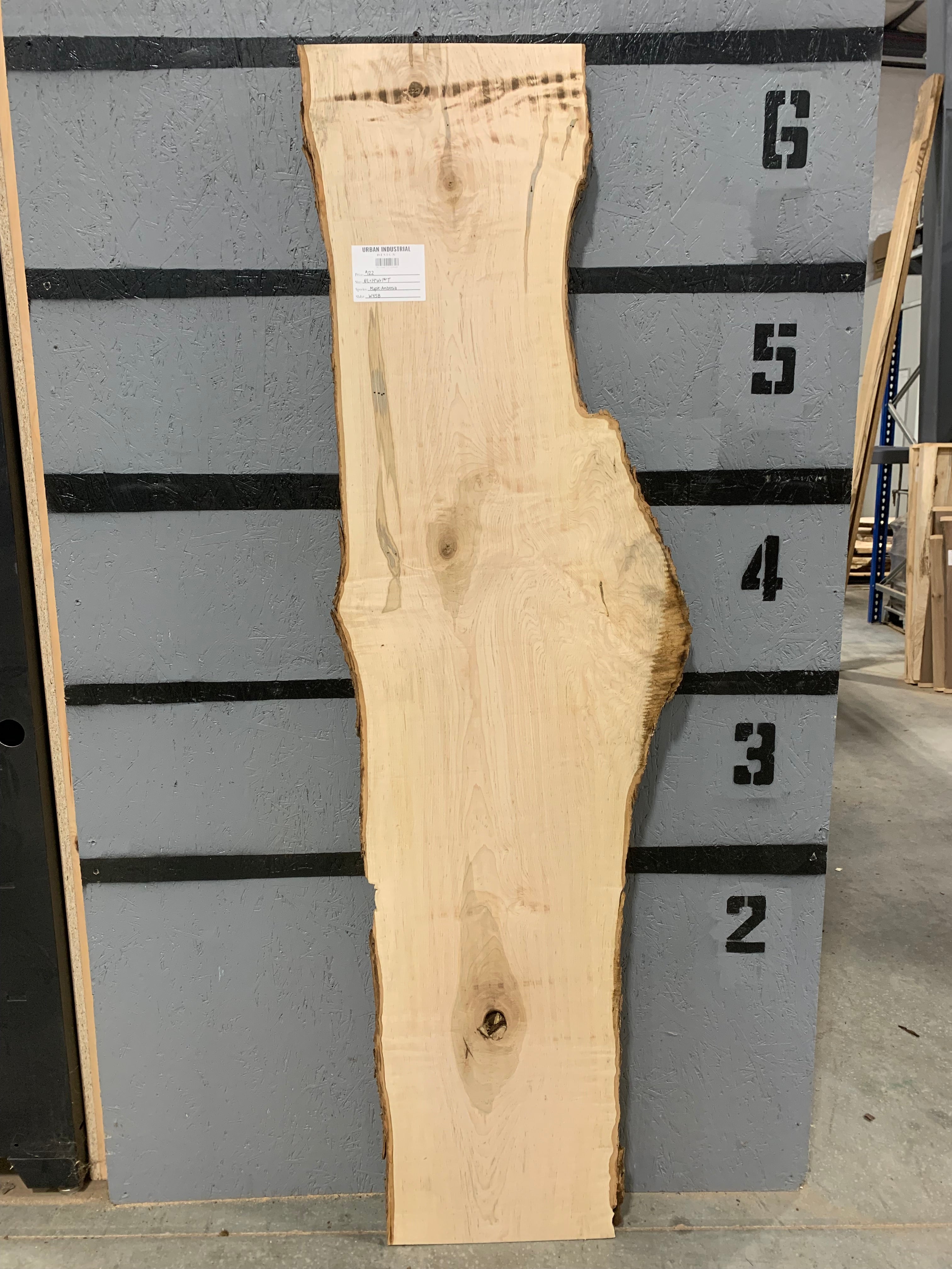Maple Slab - Ambrosia | W458