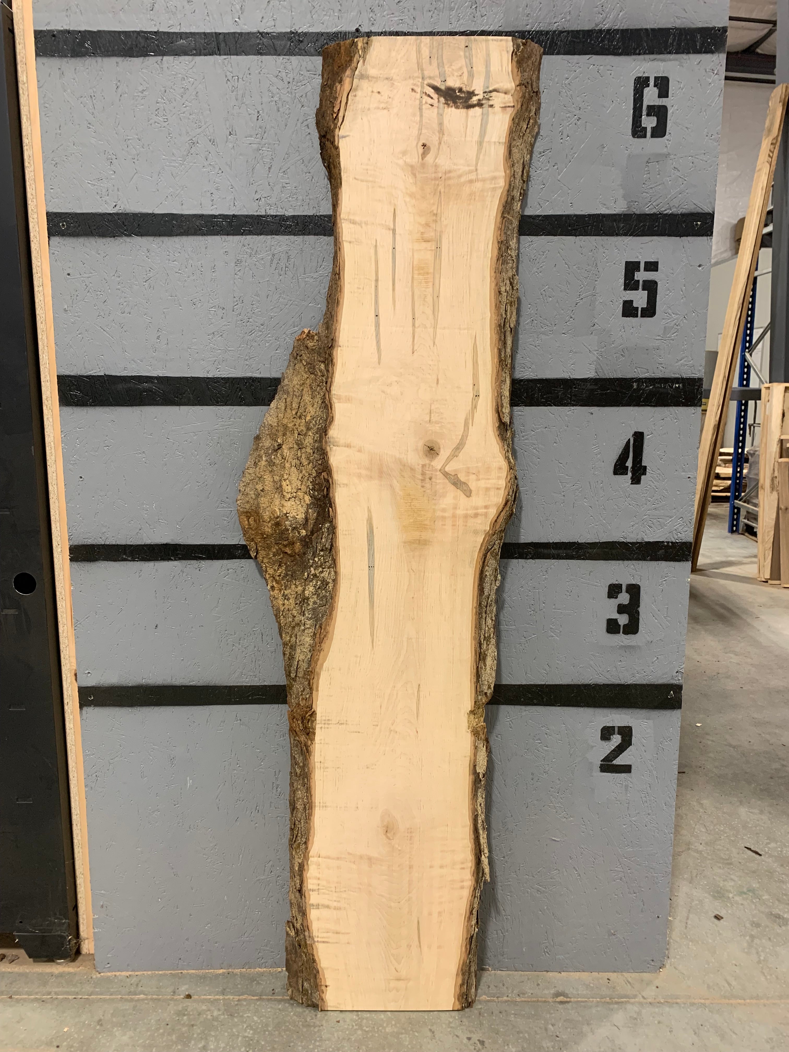 Maple Slab - Ambrosia | W458