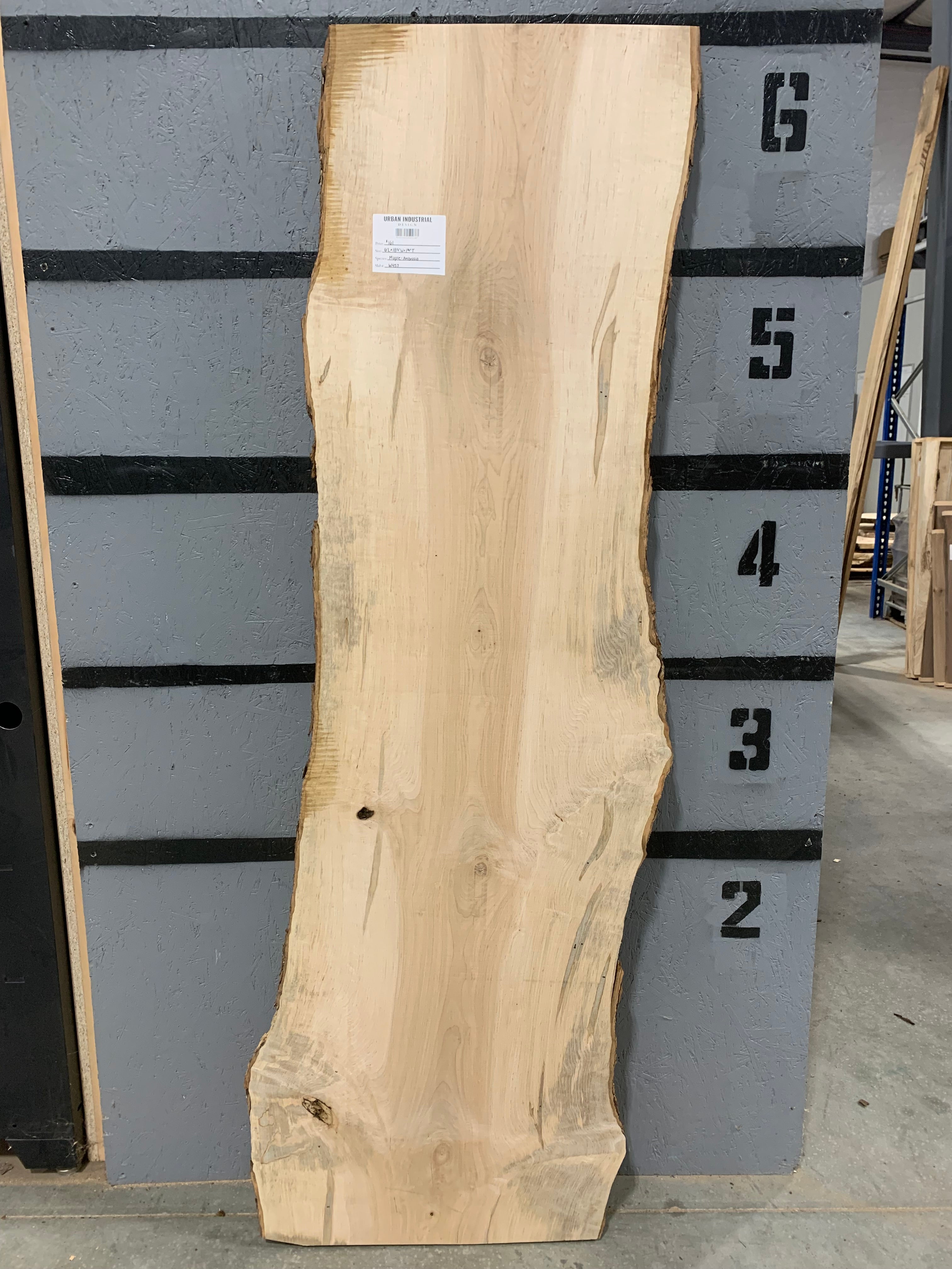 Maple Slab - Ambrosia | W457