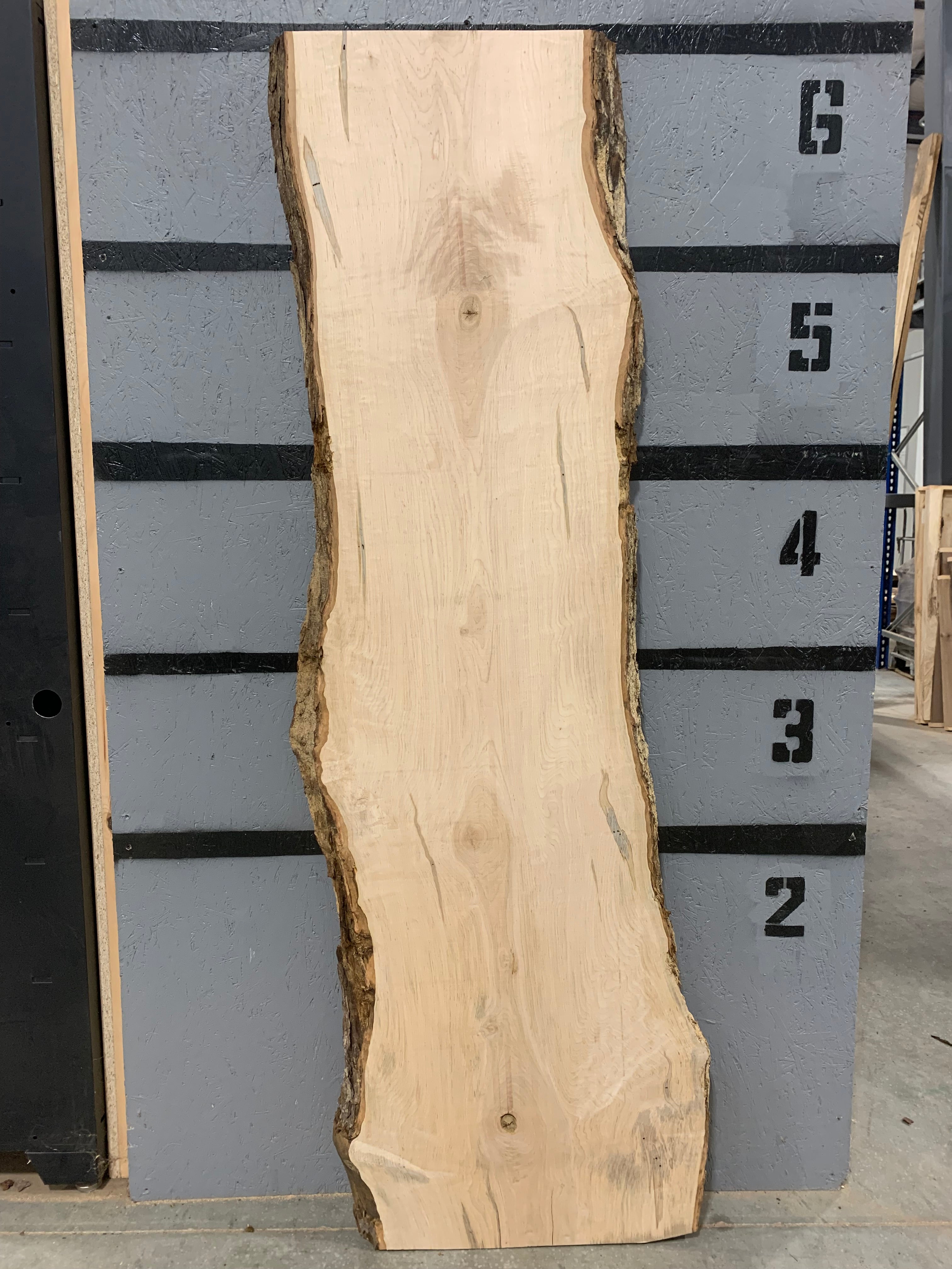 Maple Slab - Ambrosia | W457
