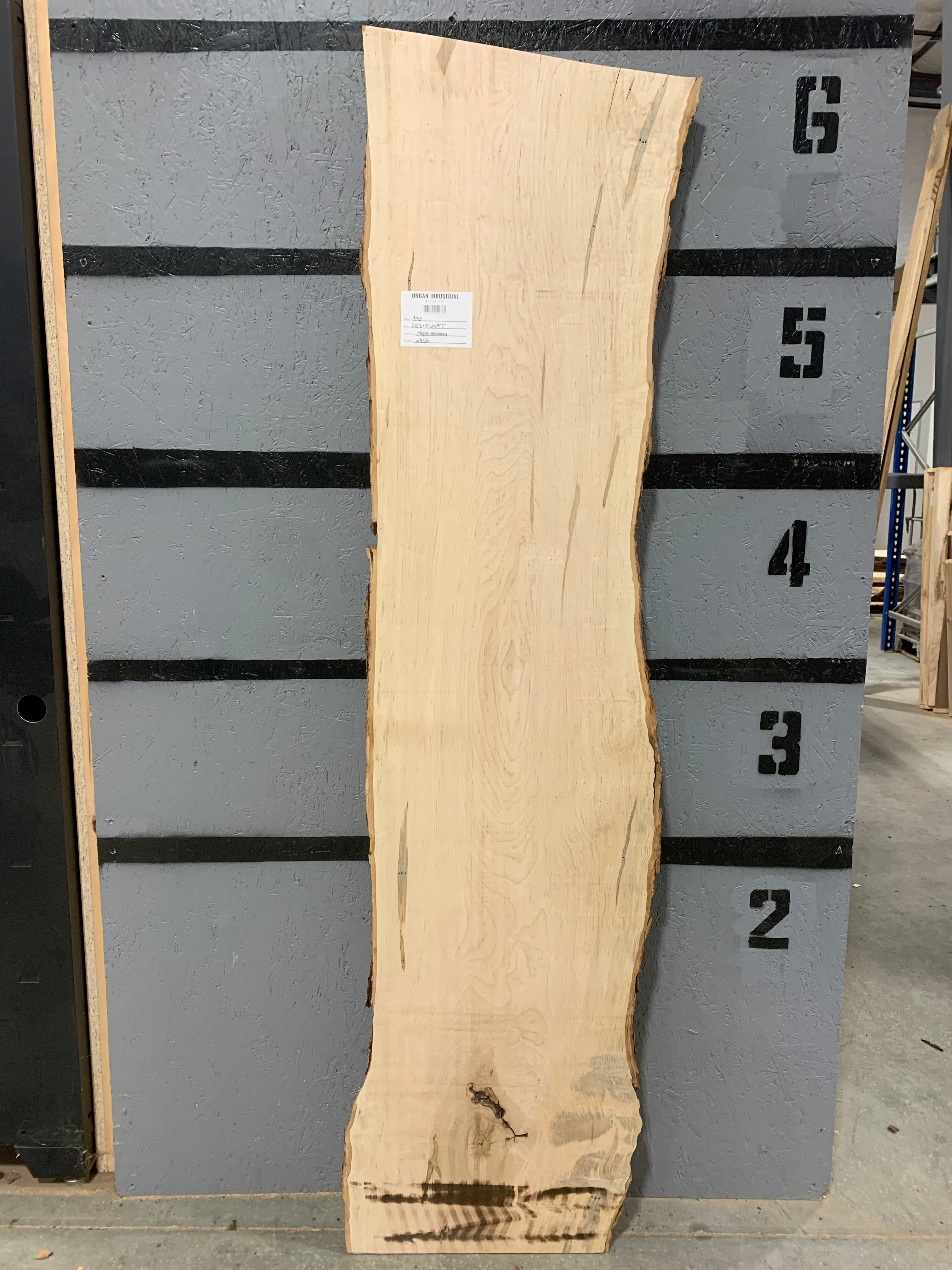 Maple Slab - Ambrosia | W456